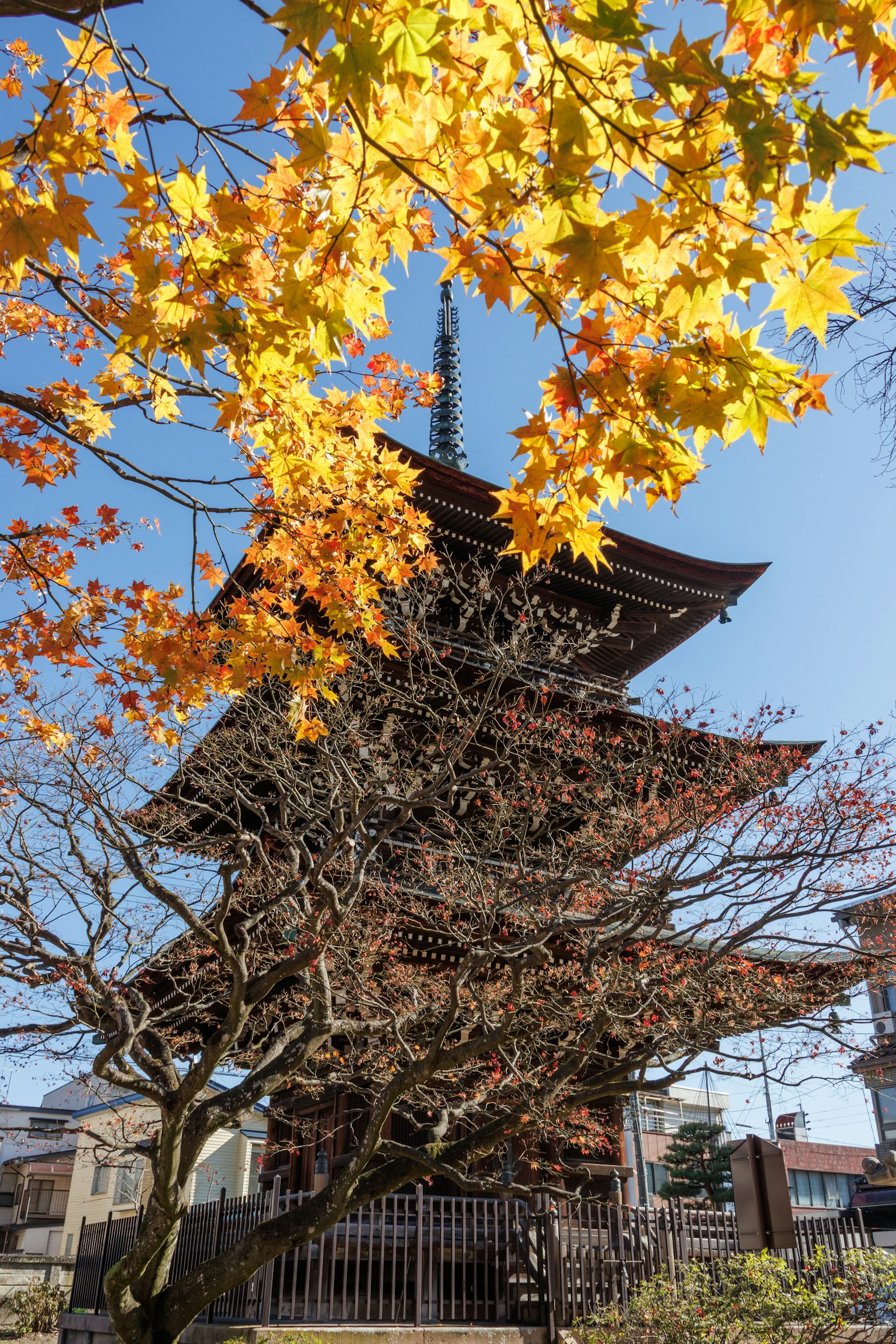 秋の紅葉と五重塔の風景