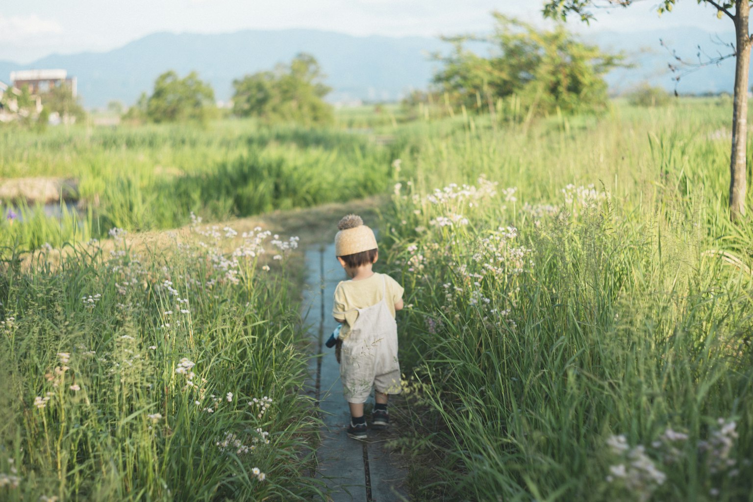 Un enfant marchant à travers un champ herbeux entouré de fleurs et de verdure