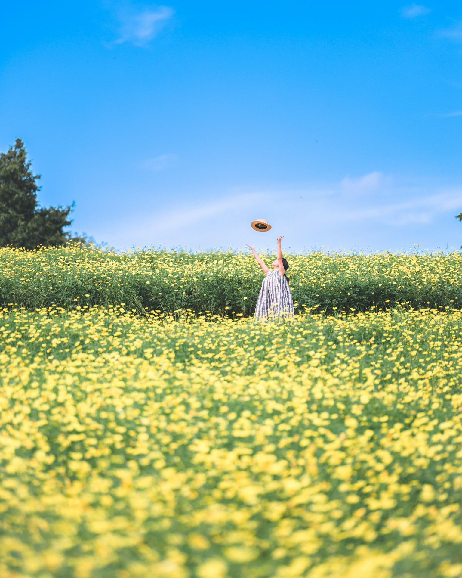 Una mujer con un vestido levanta la mano en un vasto campo de flores amarillas bajo un cielo azul