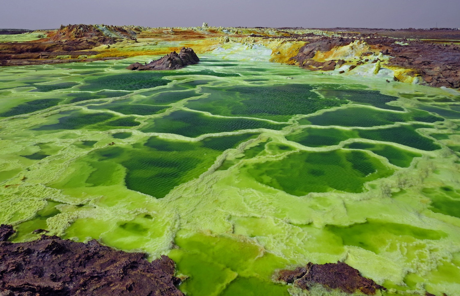 Vivid green salt lake in the Danakil Desert Ethiopia