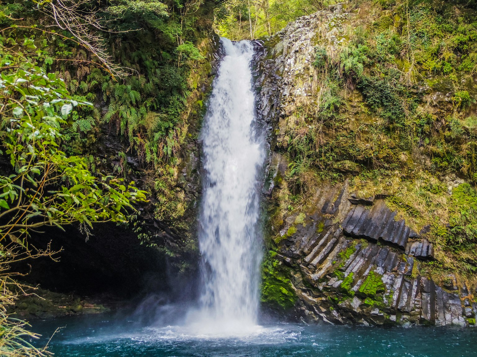 Ein schöner Wasserfall, der in einer üppigen grünen Umgebung fließt