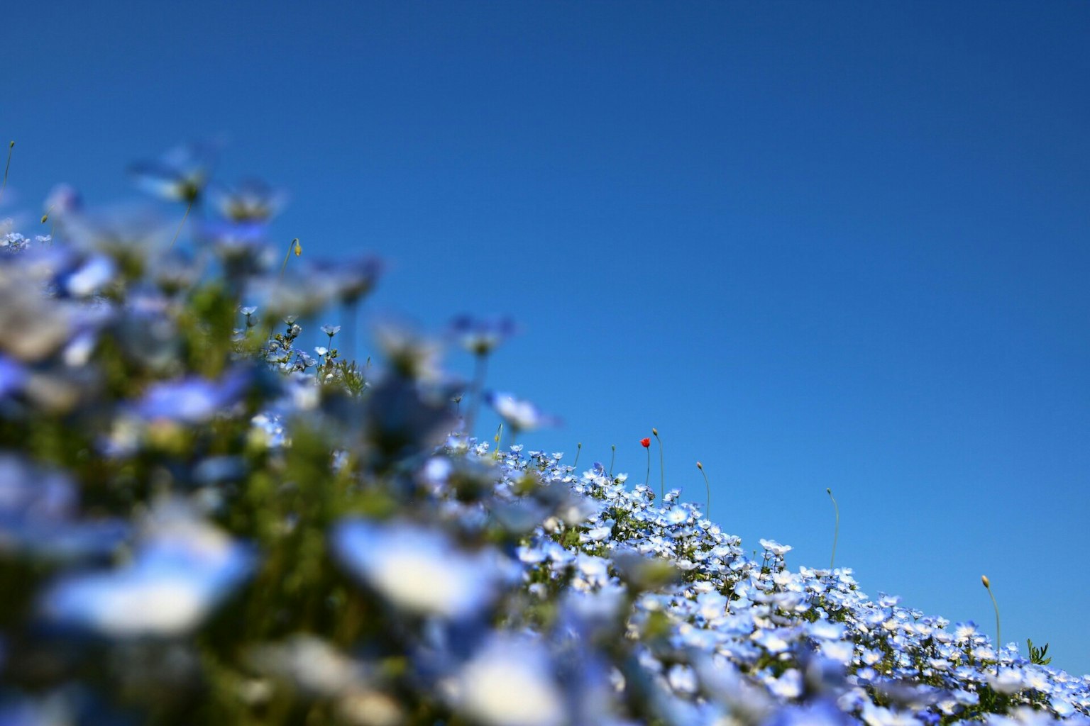photo-N7o1LM0by8qohBawNF0Q-image