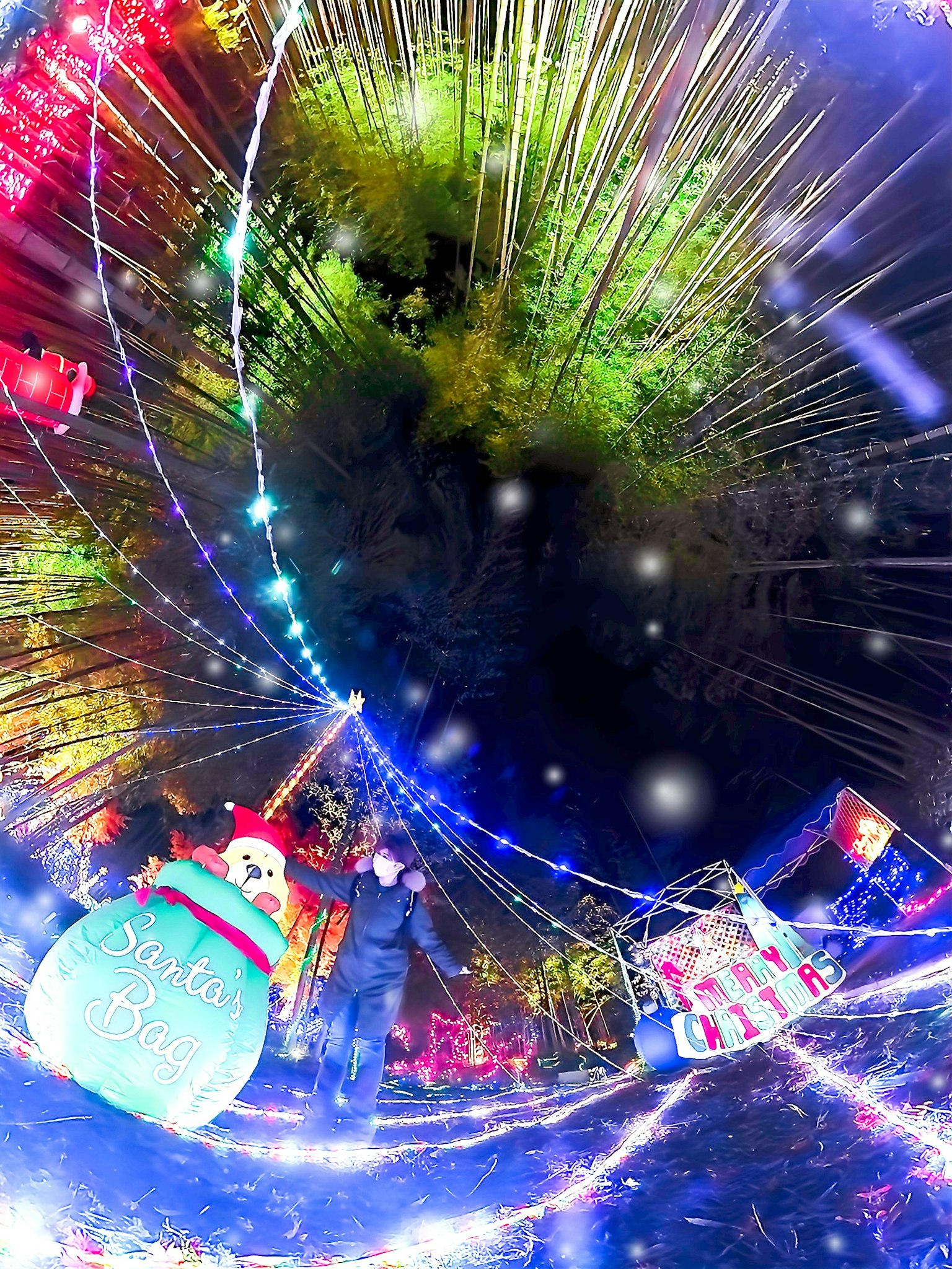 Vibrant Christmas decorations and light displays in a night setting