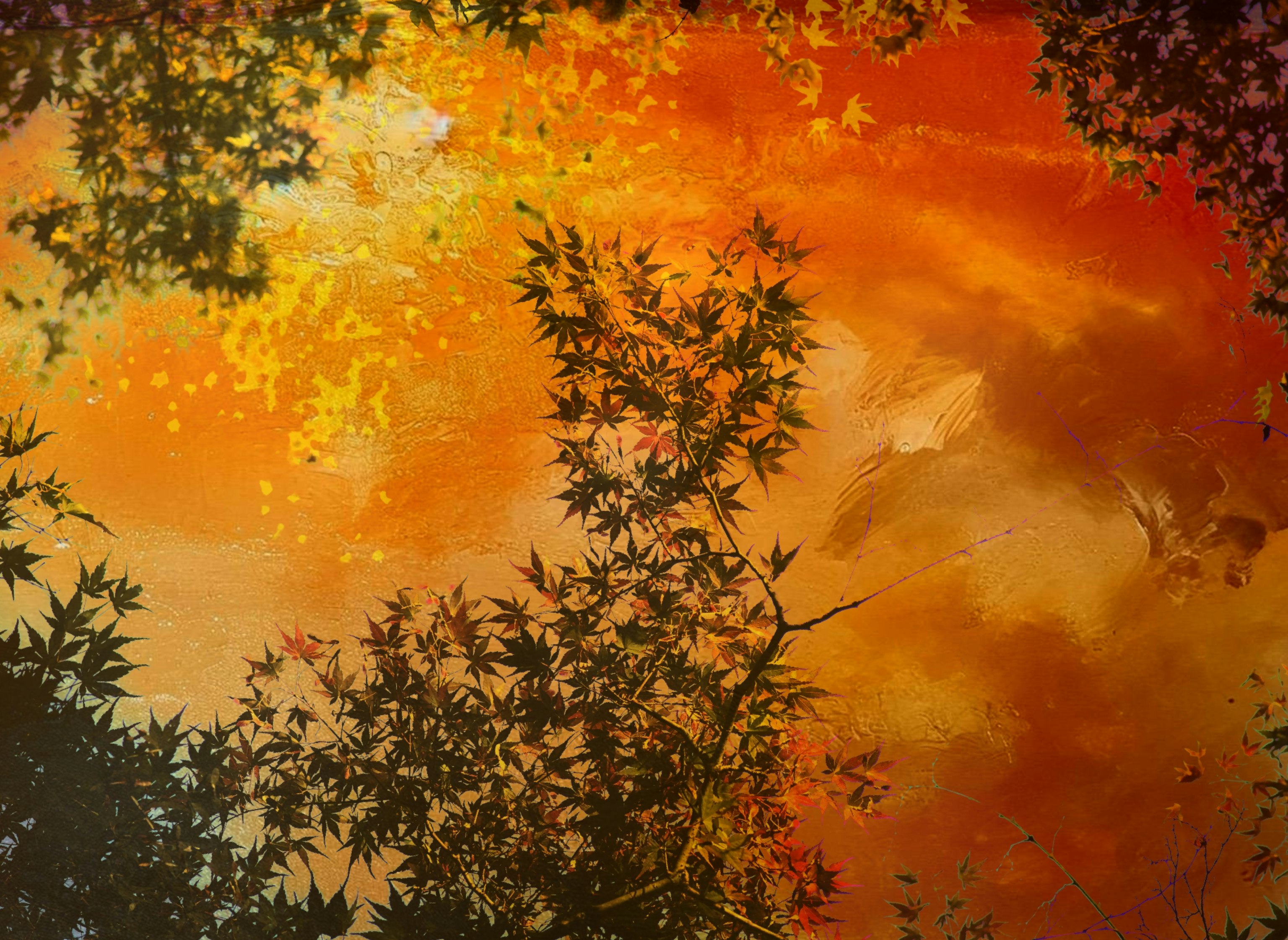Layered autumn leaves and an orange-tinted sky with tree silhouettes