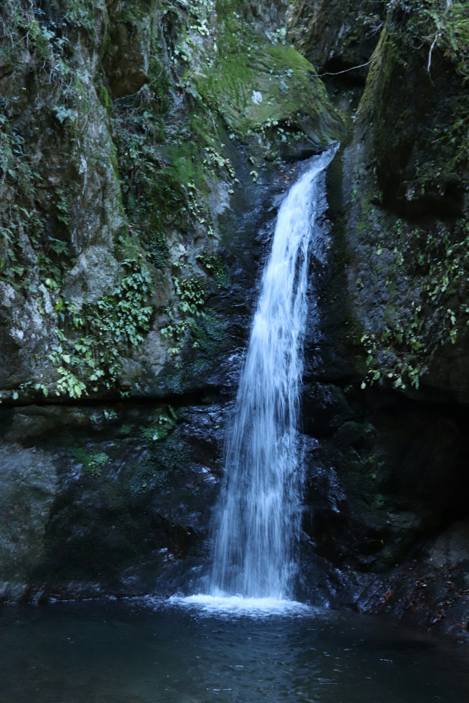 Una hermosa cascada que cae sobre rocas cubiertas de musgo verde