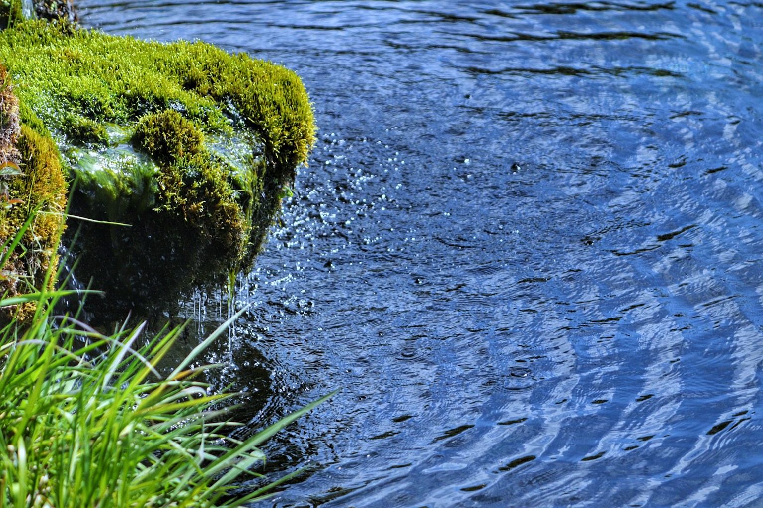 Moosbedeckter Felsen nahe blauem Wasser mit Spritzern