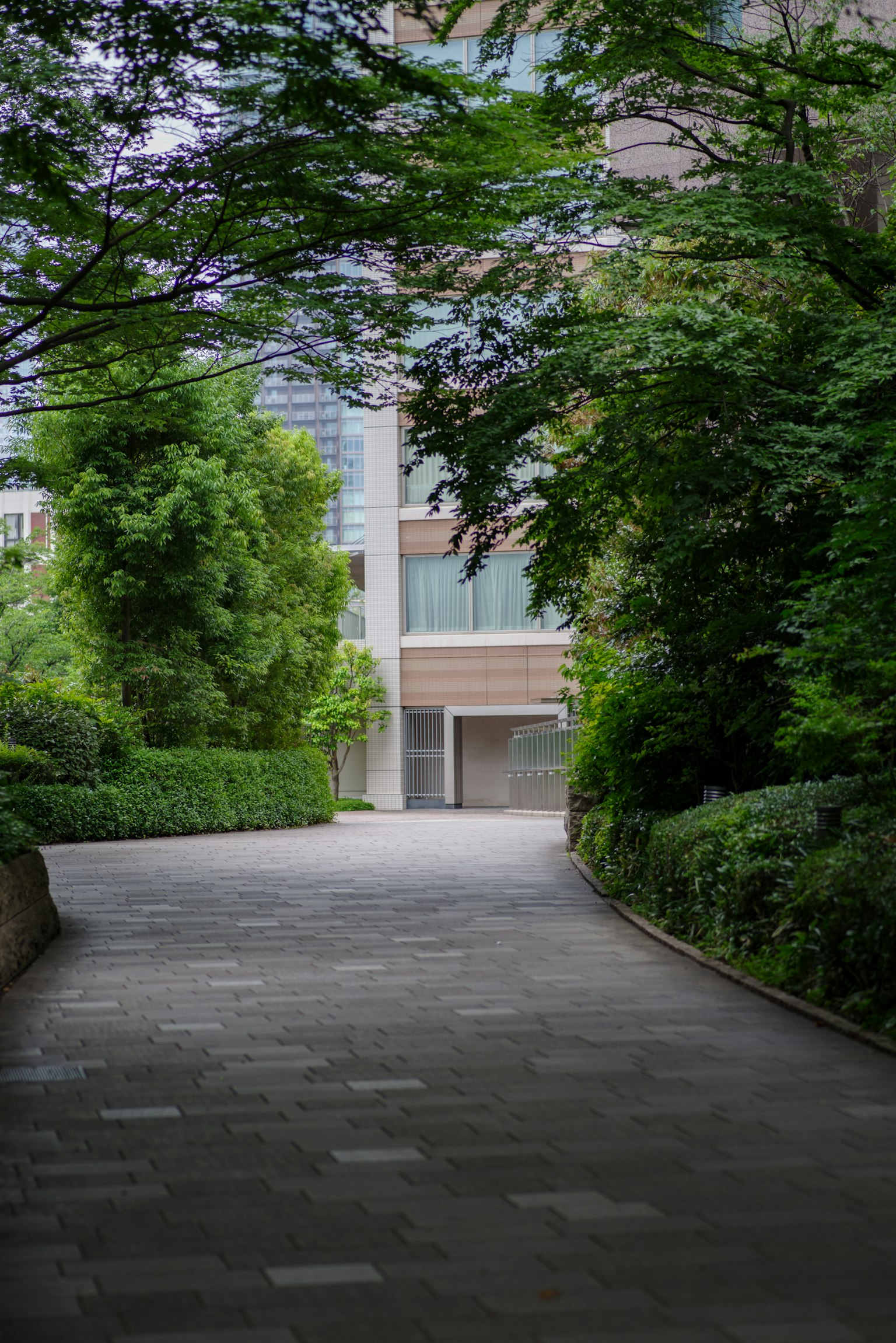 Un sentiero sereno e curvo circondato da vegetazione e architettura moderna