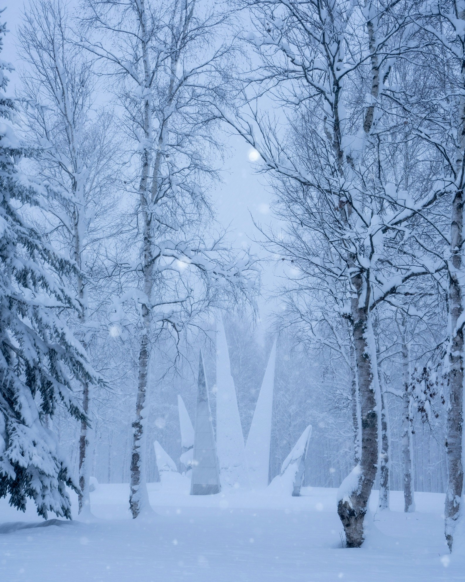 chemin dans une forêt enneigée bordé d’arbres dans une brume blanche