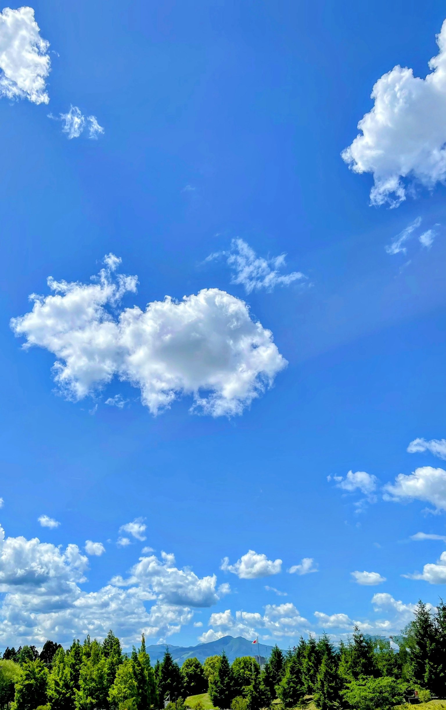 Un ciel bleu clair avec des nuages blancs duveteux