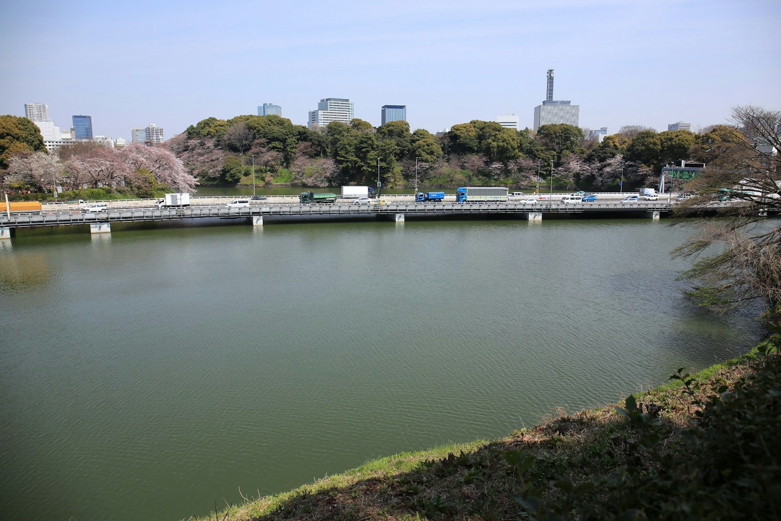 Quiet park pond with surrounding skyscrapers