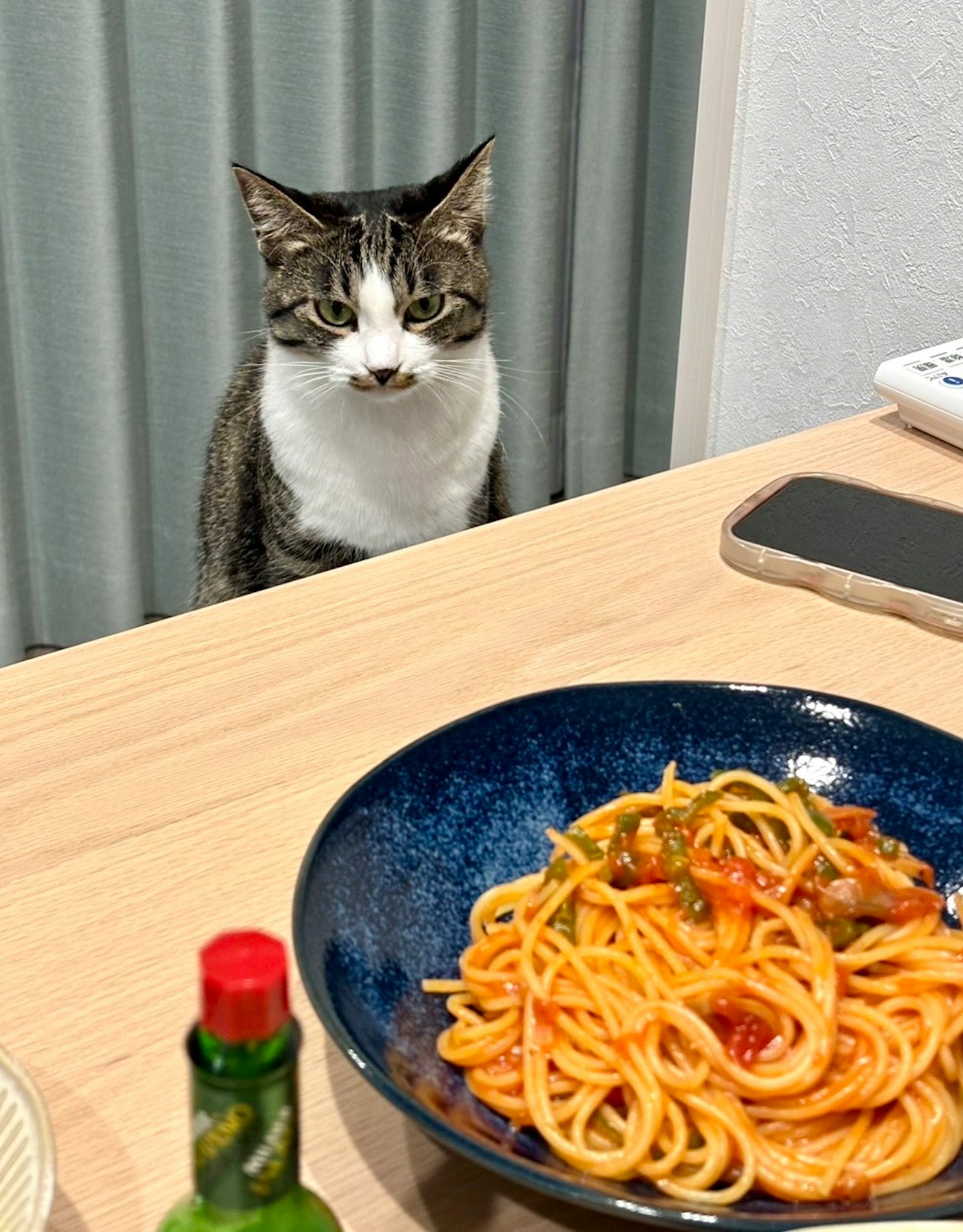 Kucing duduk di meja melihat mangkuk spaghetti