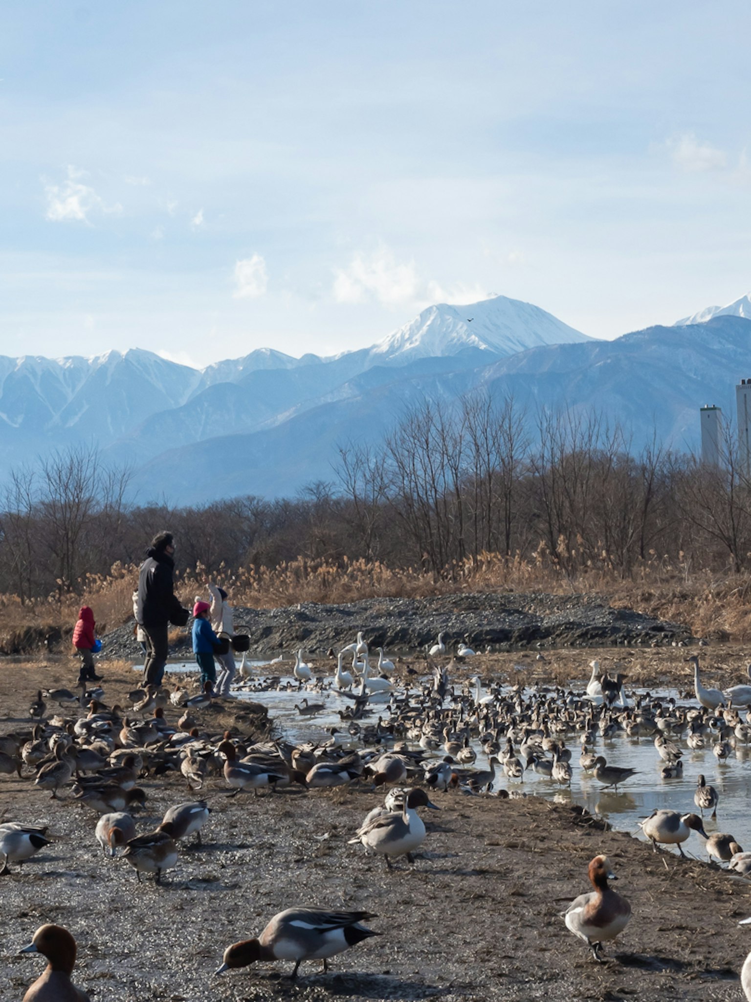 Kinder und Erwachsene spielen am Wasser mit Bergen im Hintergrund