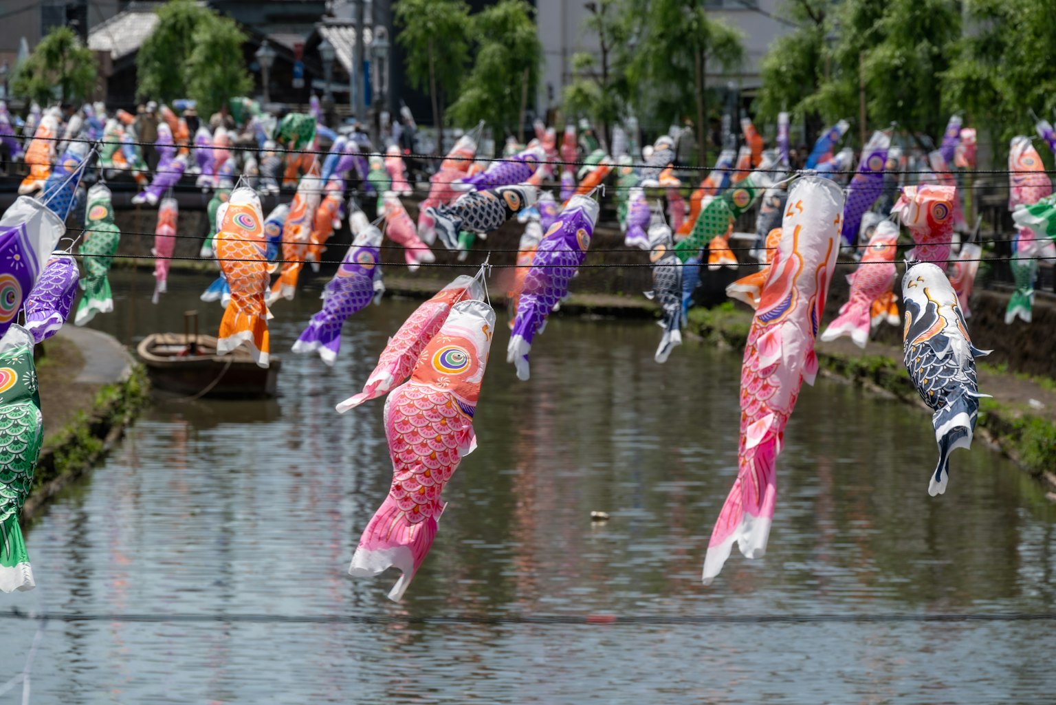 Banderas de koi coloridas exhibidas junto al agua en una escena festiva