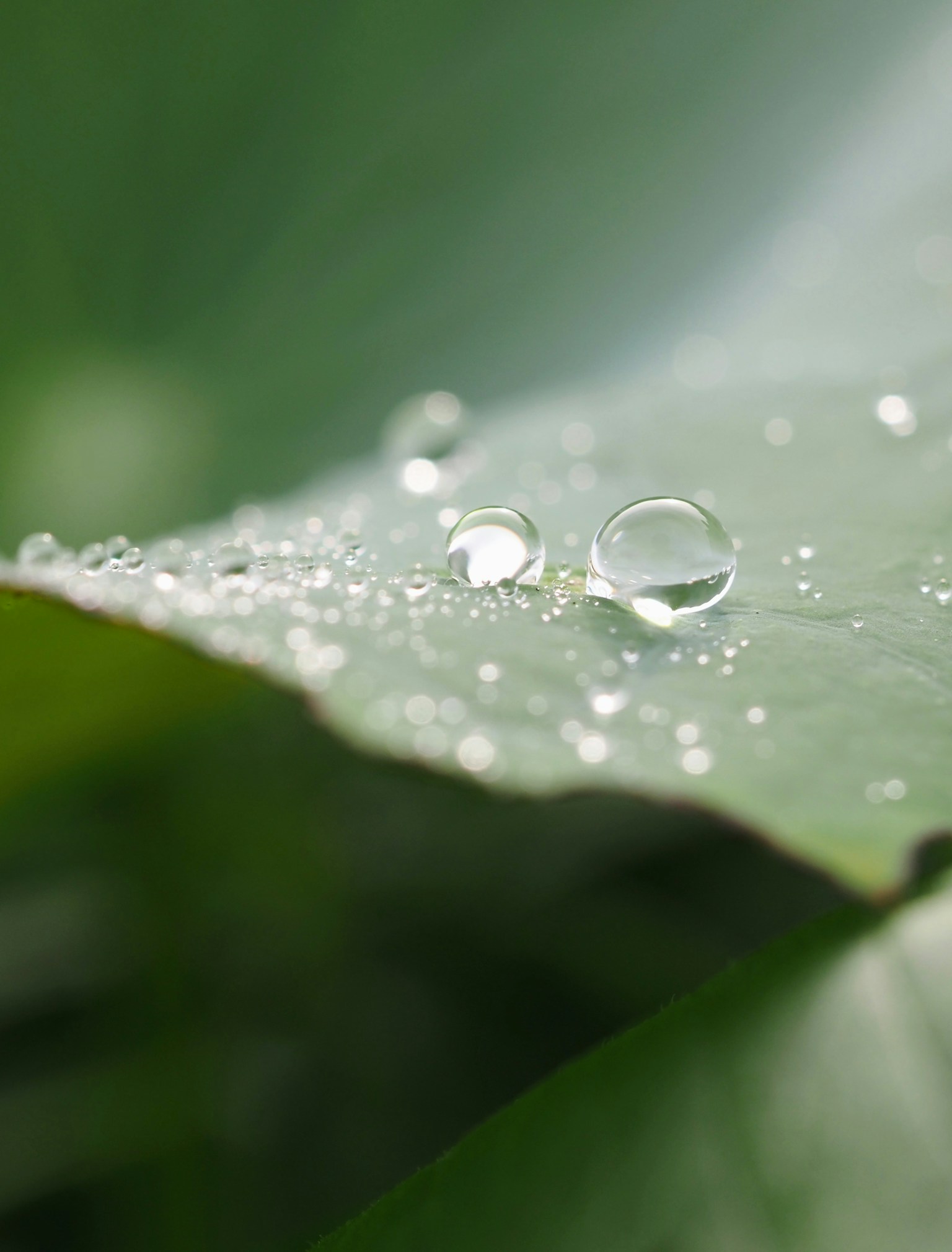 photo-NA9W416hquZxyKReIRG5-image