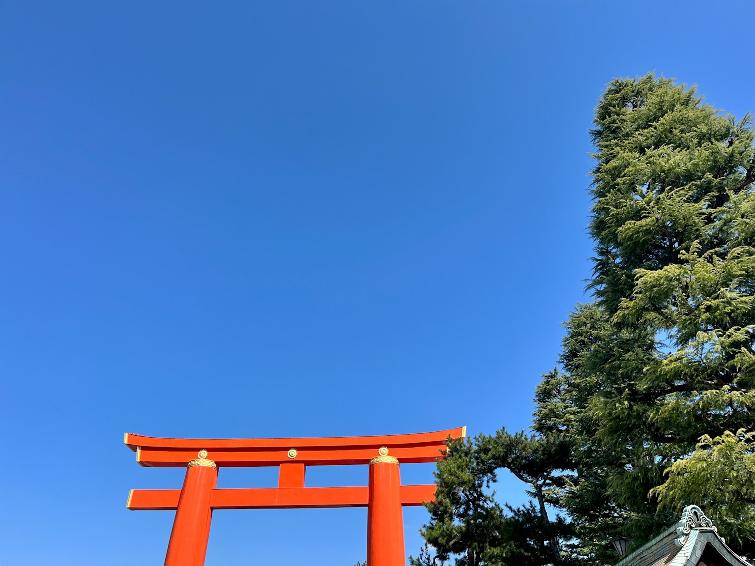 photo-NAPYEwcSVL2i5z26WKzH-image