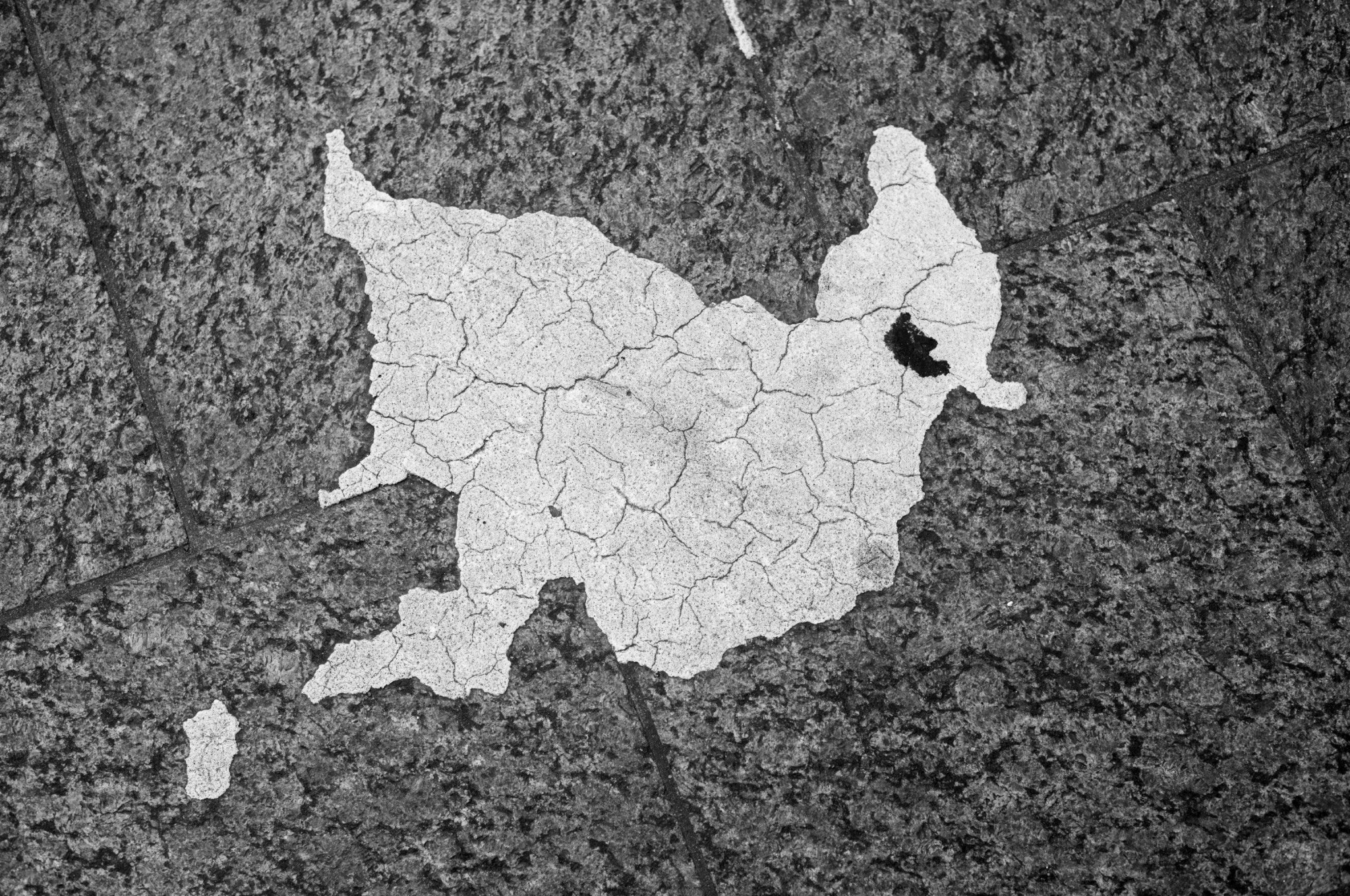 フランスの地図が壁面に描かれたモノクロ画像