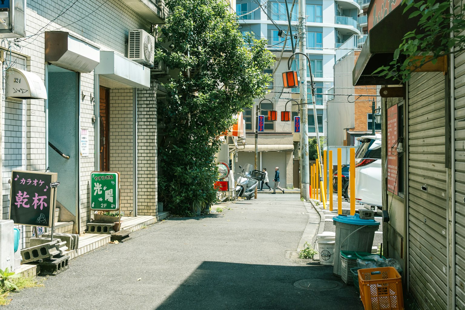 安静的街道，狭窄小巷旁有建筑和绿树