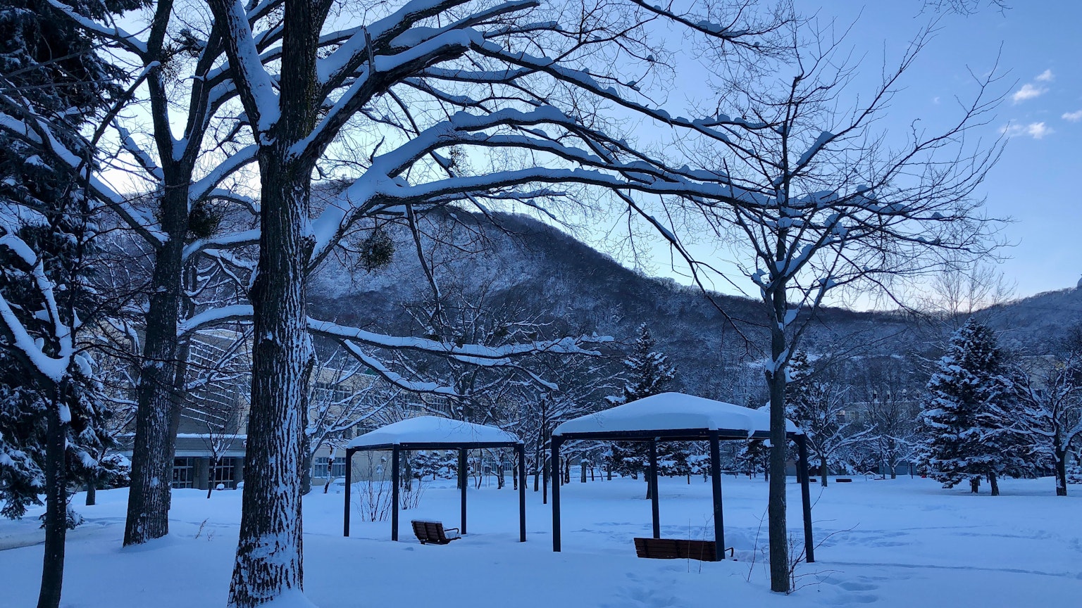 Eine ruhige Winterlandschaft eines Parks, der mit Schnee bedeckt ist, mit Strukturen und Bäumen