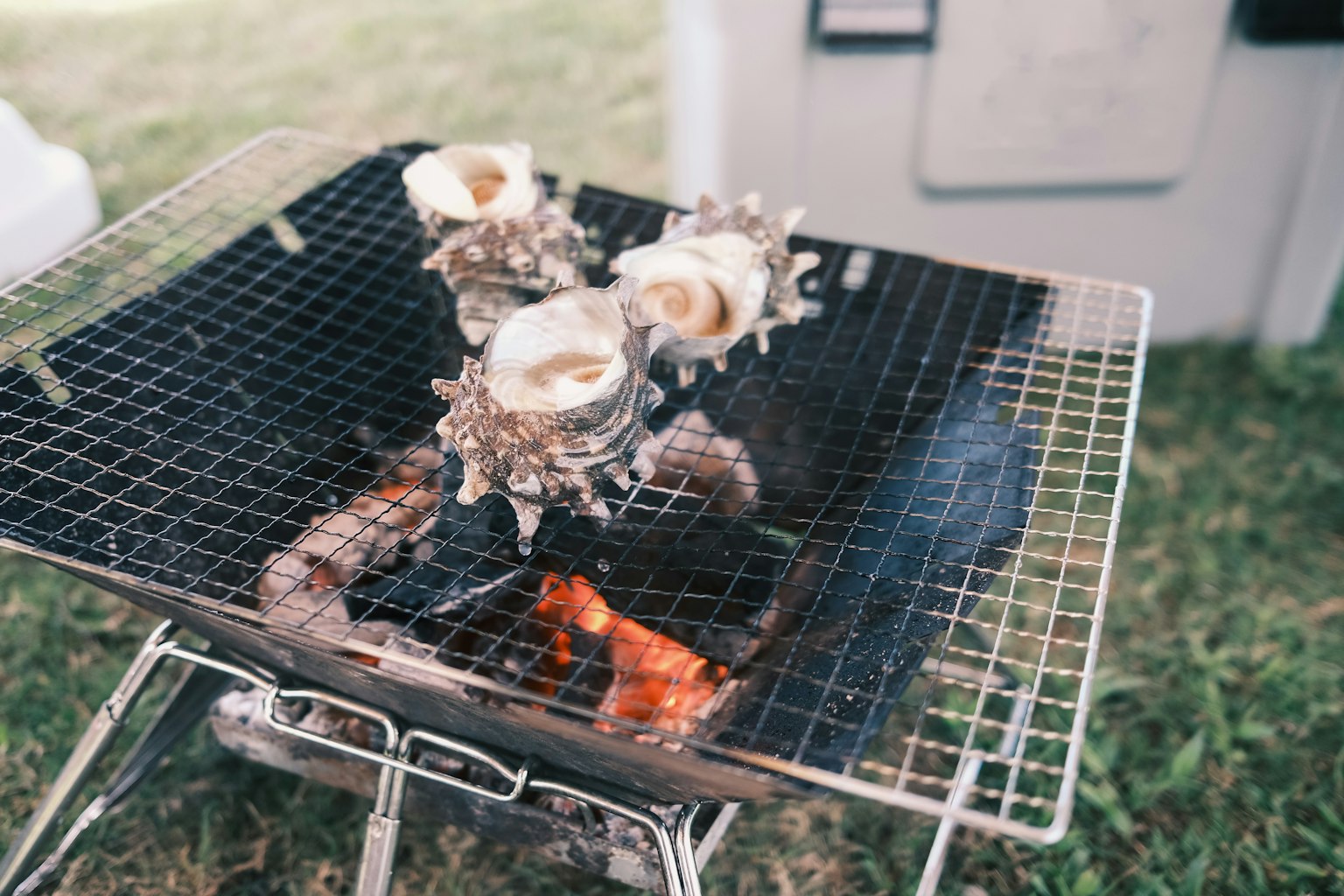 Gegrillte Muscheln auf einem Grill mit sichtbaren Flammen