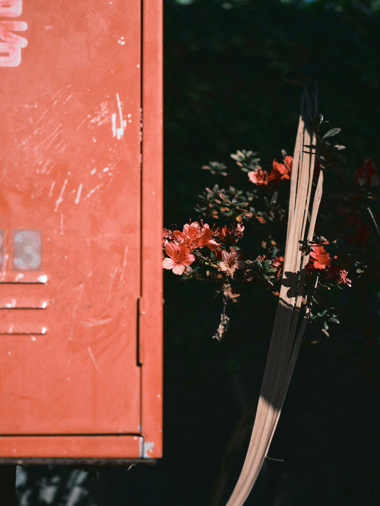 Parapluie avec un bouquet devant une porte rouge