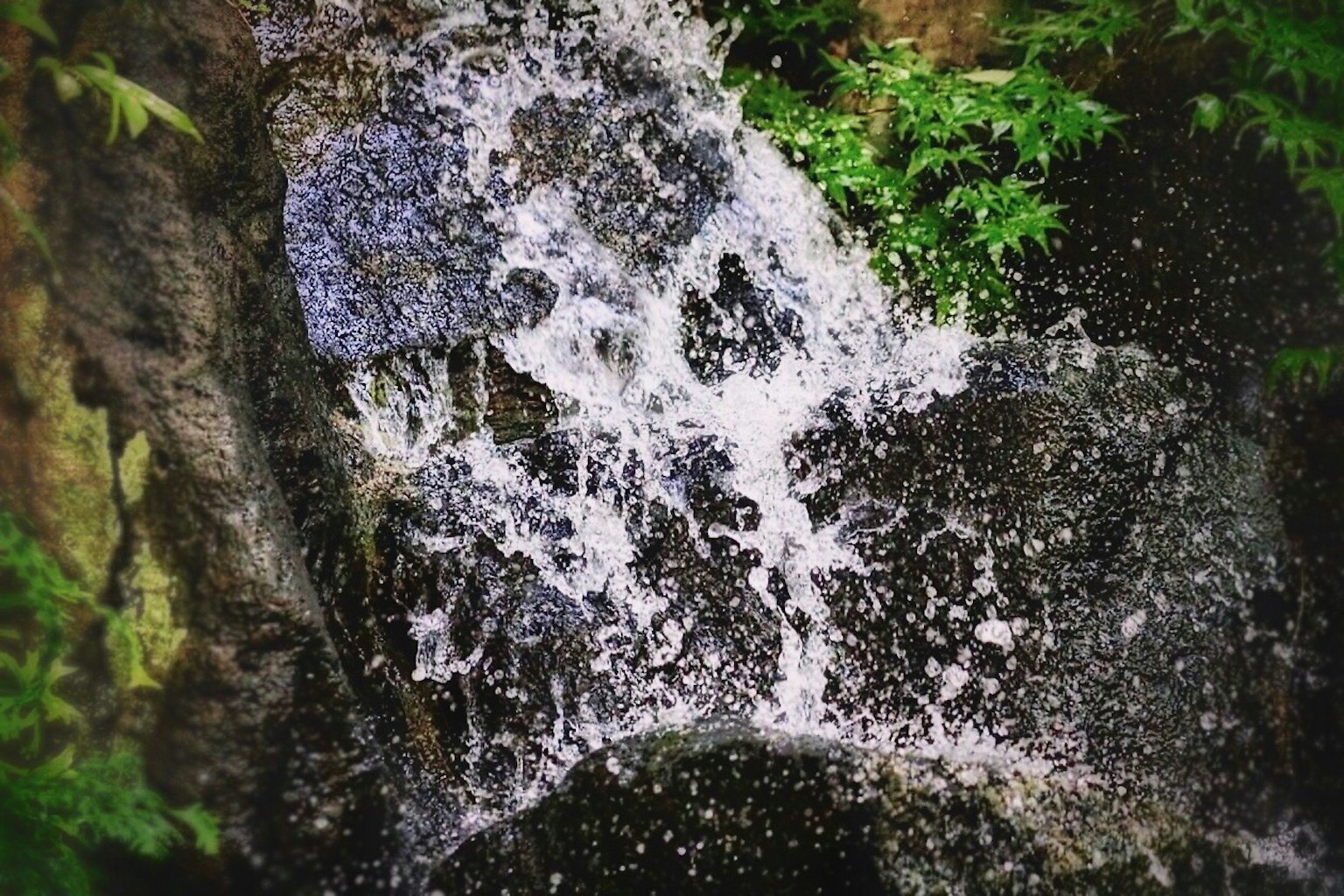 水流從岩石上傾瀉而下，周圍環境郁郁蔥蔥