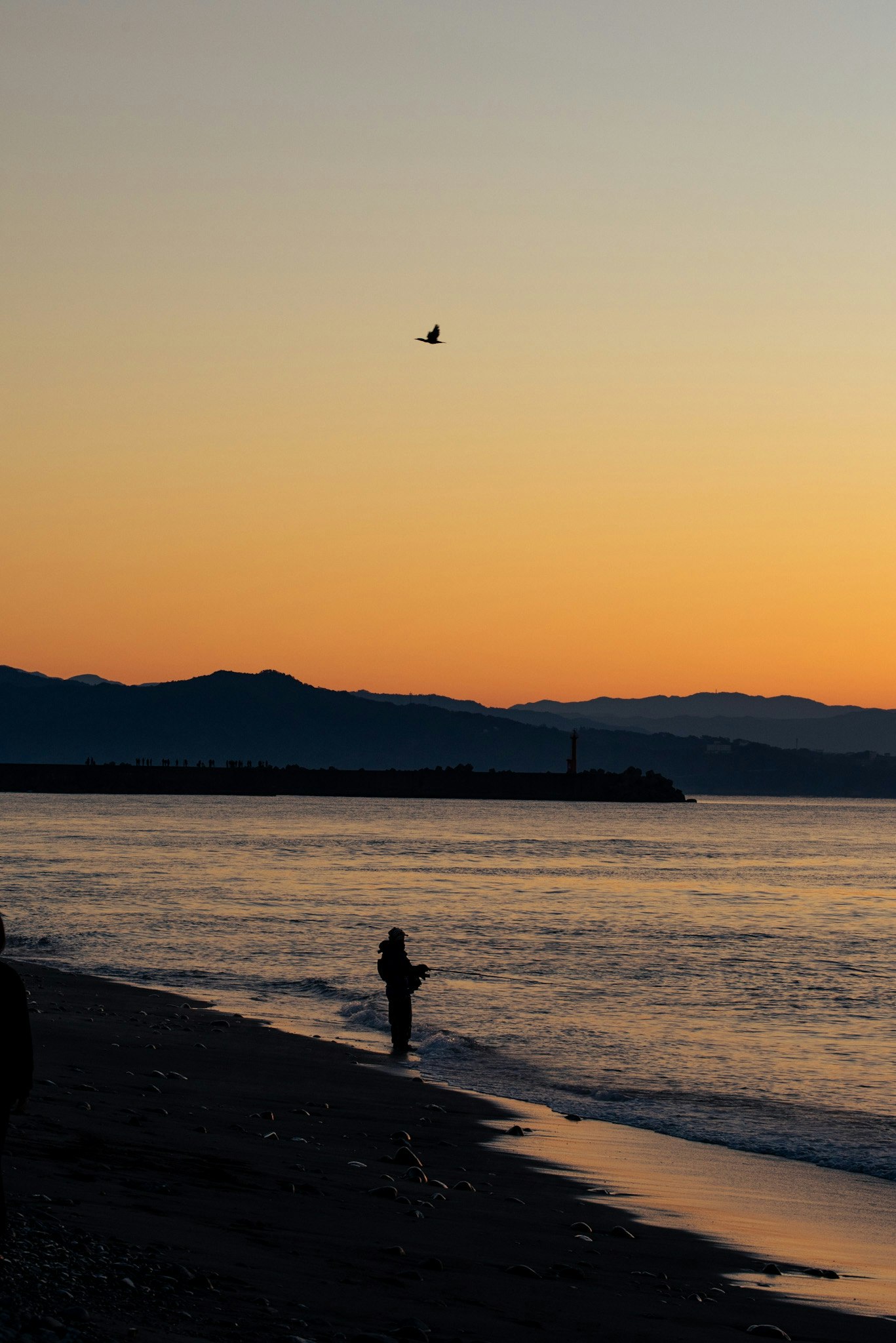 夕暮れの海辺で釣りをする人と小さな鳥