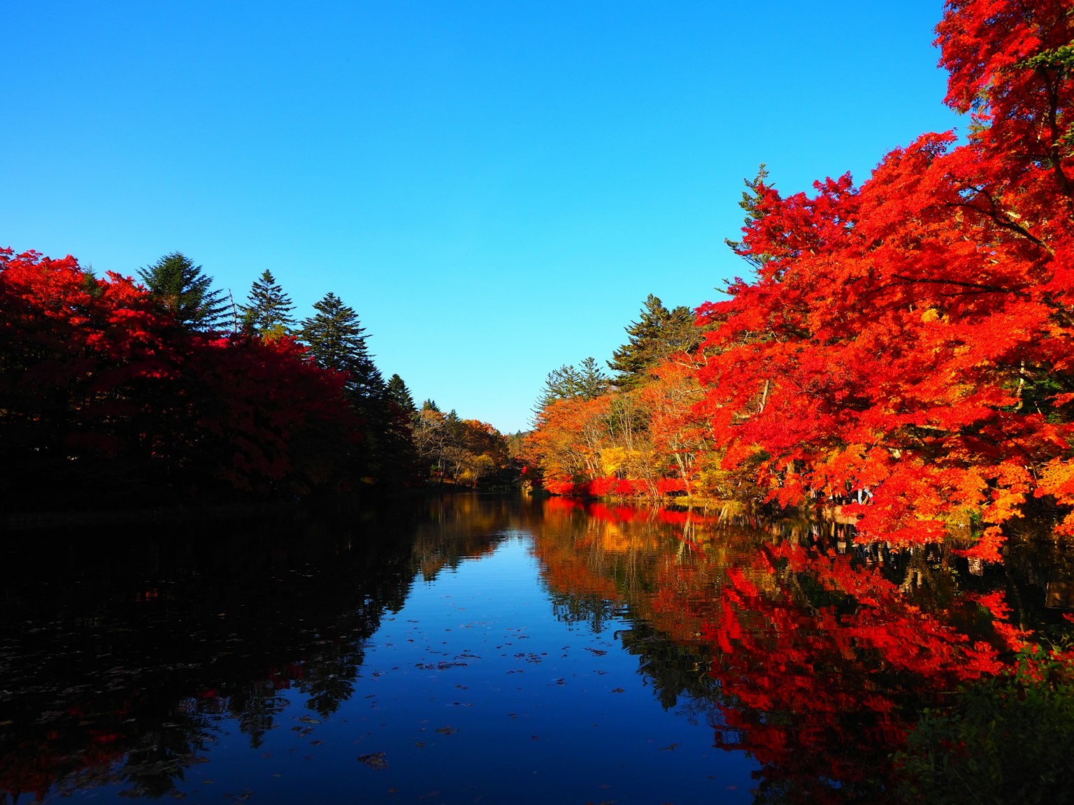 Ruhige Flusslandschaft mit lebhaftem Herbstlaub, das sich im Wasser unter einem klaren blauen Himmel spiegelt