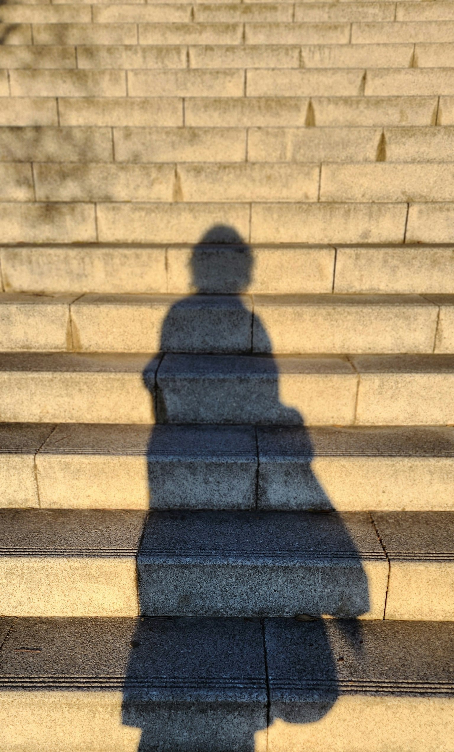 Silhouette d'une personne avec un sac sur des escaliers