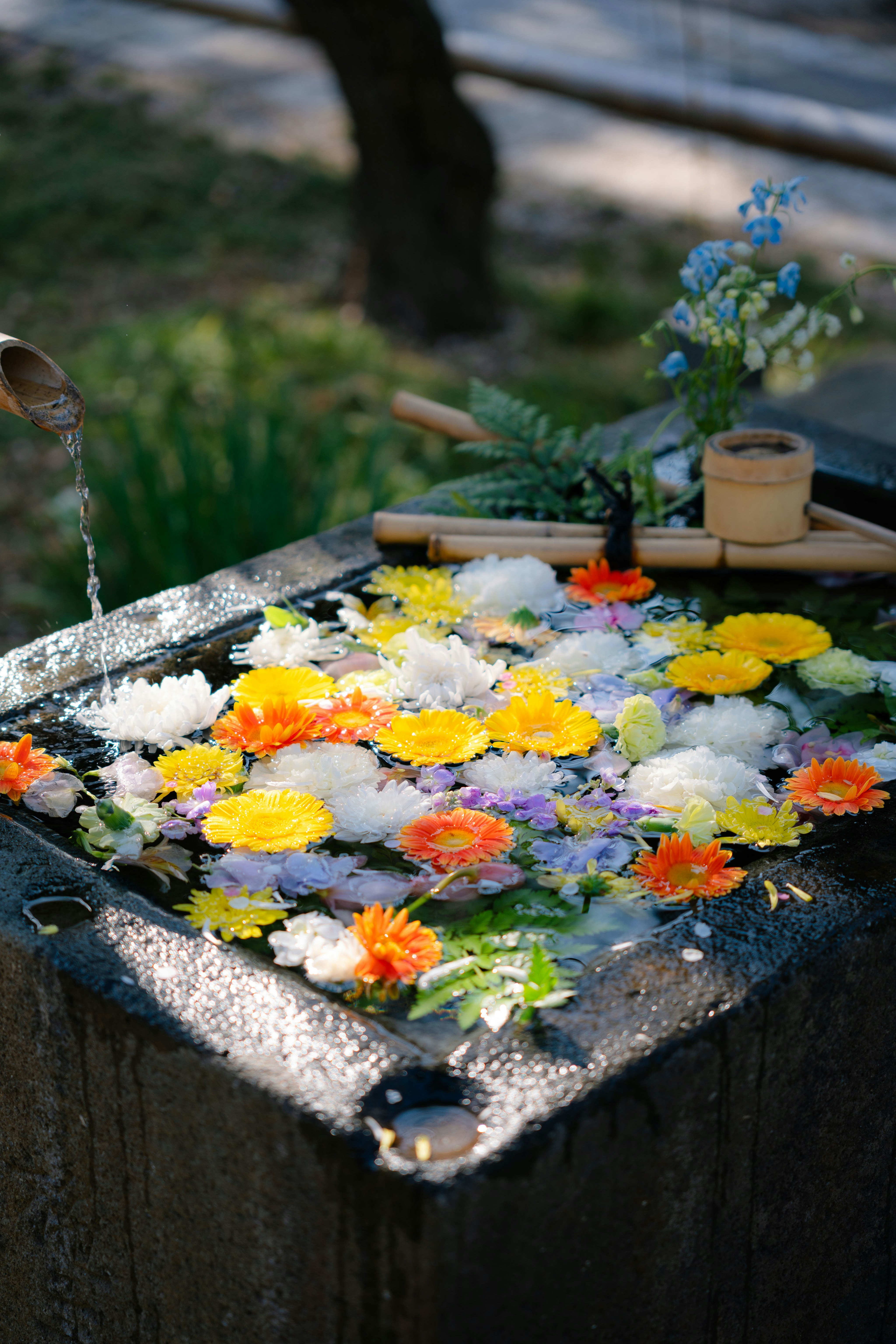 ขันน้ำชำระดอกไม้ (花手水) ทำจากหินเต็มไปด้วยดอกไม้หลากสี