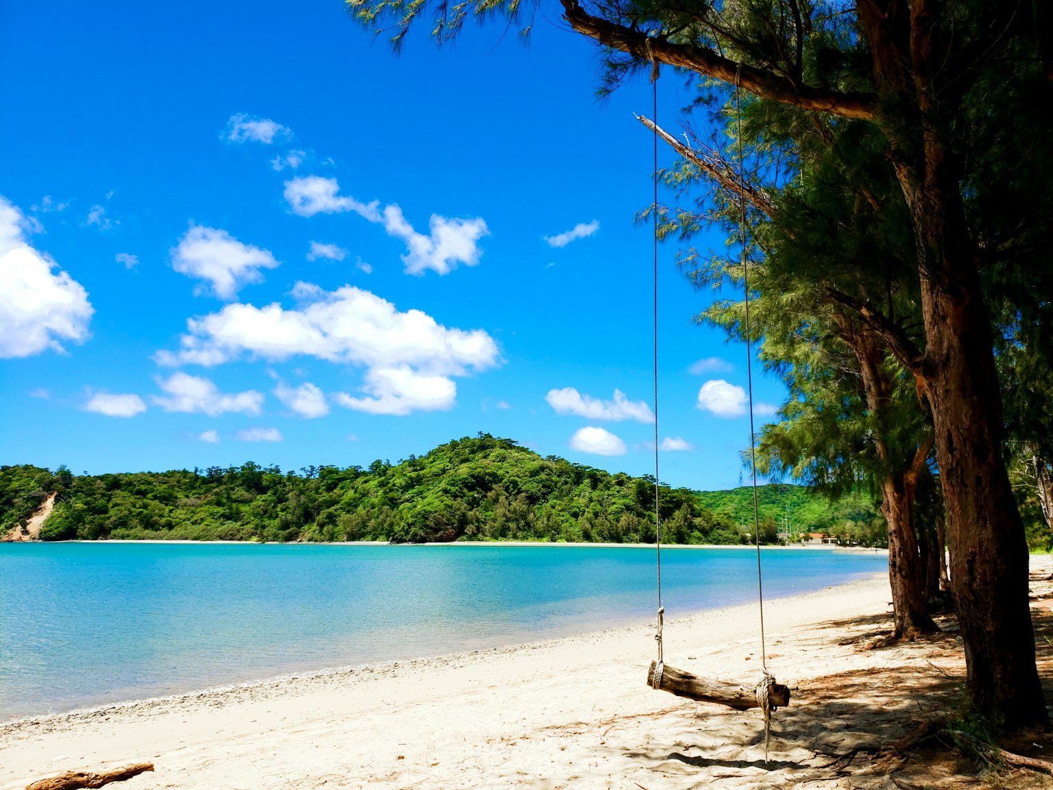 Plage pittoresque avec eau bleue claire et collines vertes en arrière-plan, balançoire accrochée à un arbre