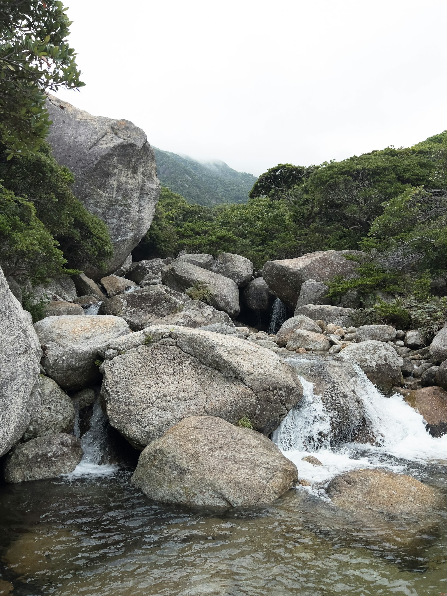 有岩石和流動河流的自然風光