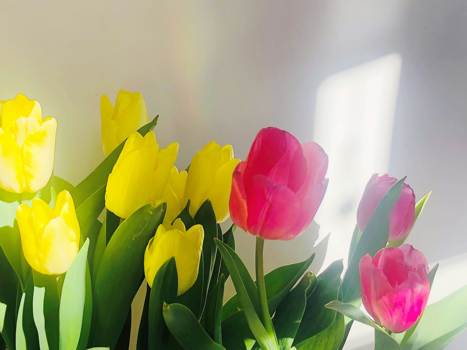 Bouquet vibrant de tulipes avec des fleurs jaunes et rouges