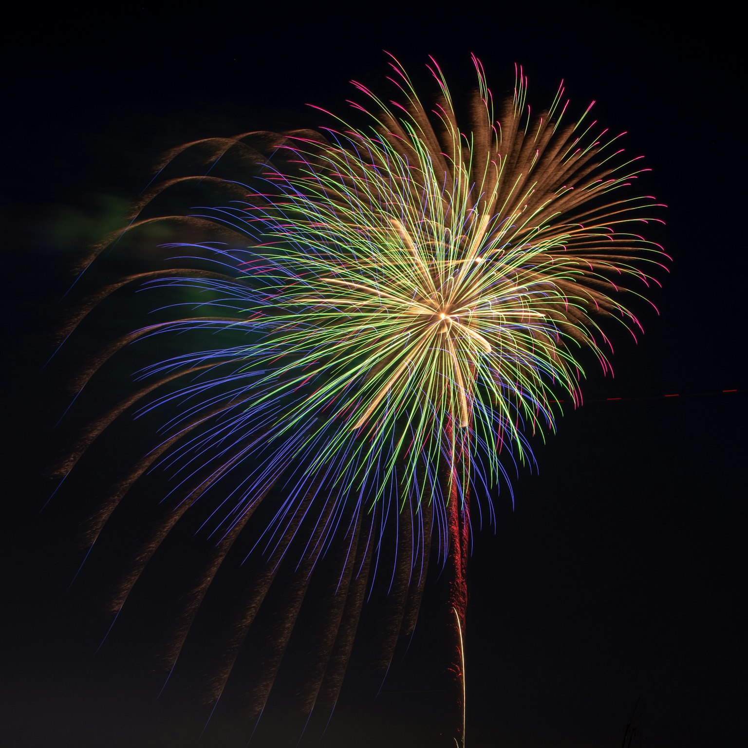 Motif de feu d'artifice coloré éclatant dans le ciel nocturne