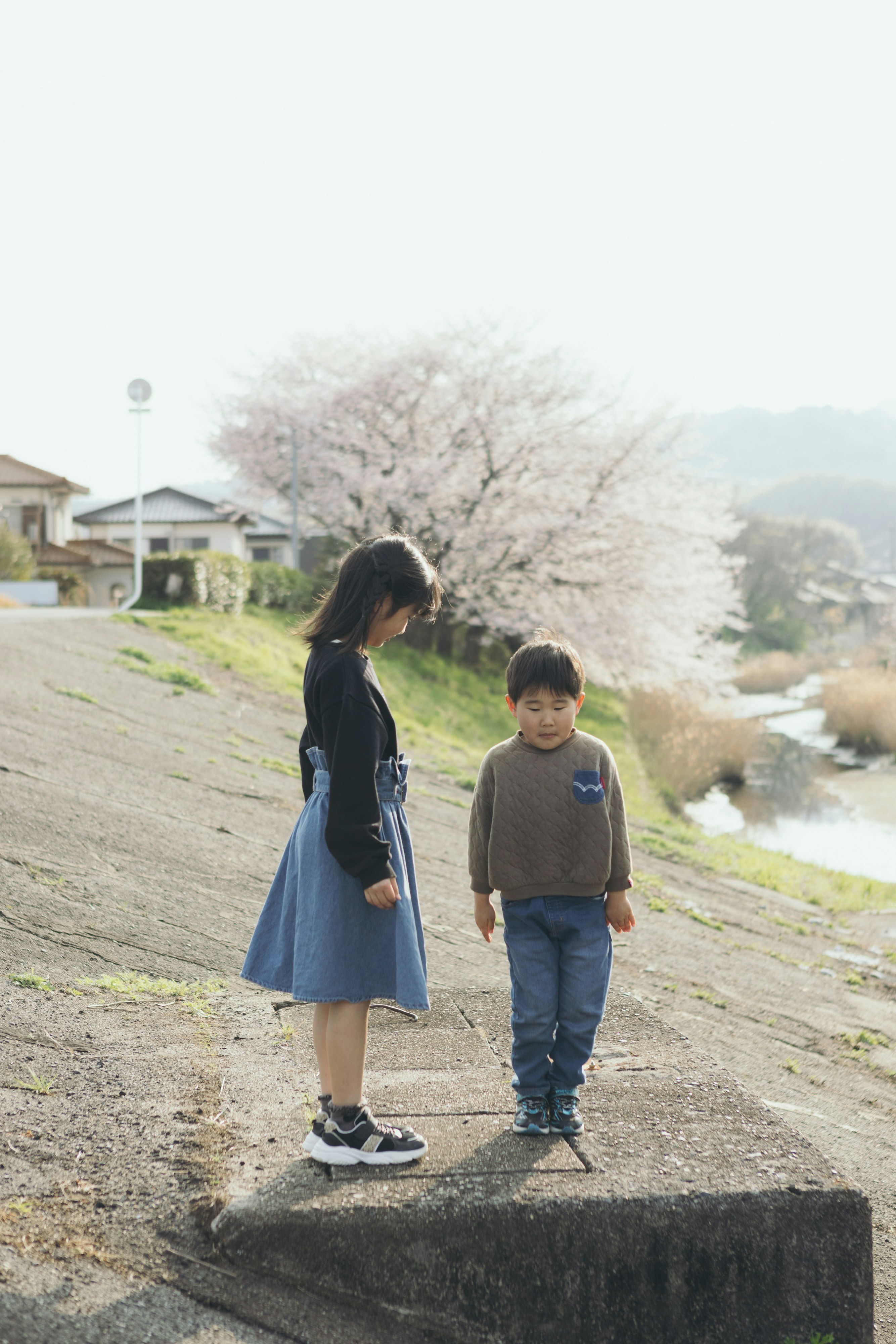 川沿いの道で手をつなぐ母と子の春の散歩