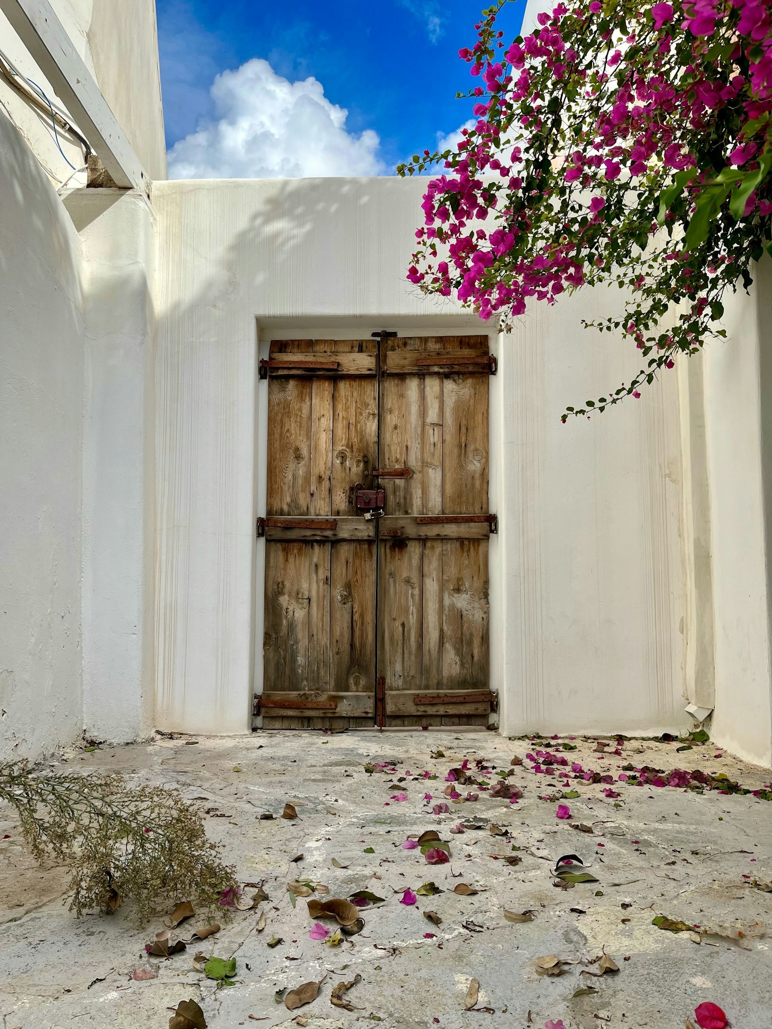 Porte en bois encadrée par des murs blancs avec de la bougainvillée colorée