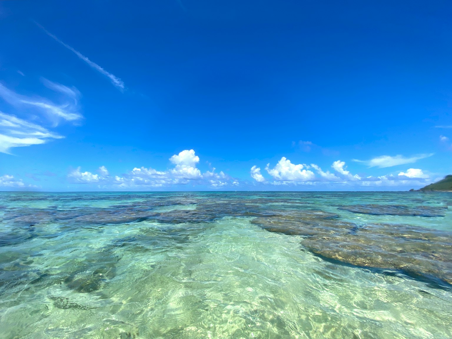美麗的海灘景色，清澈的水和藍天