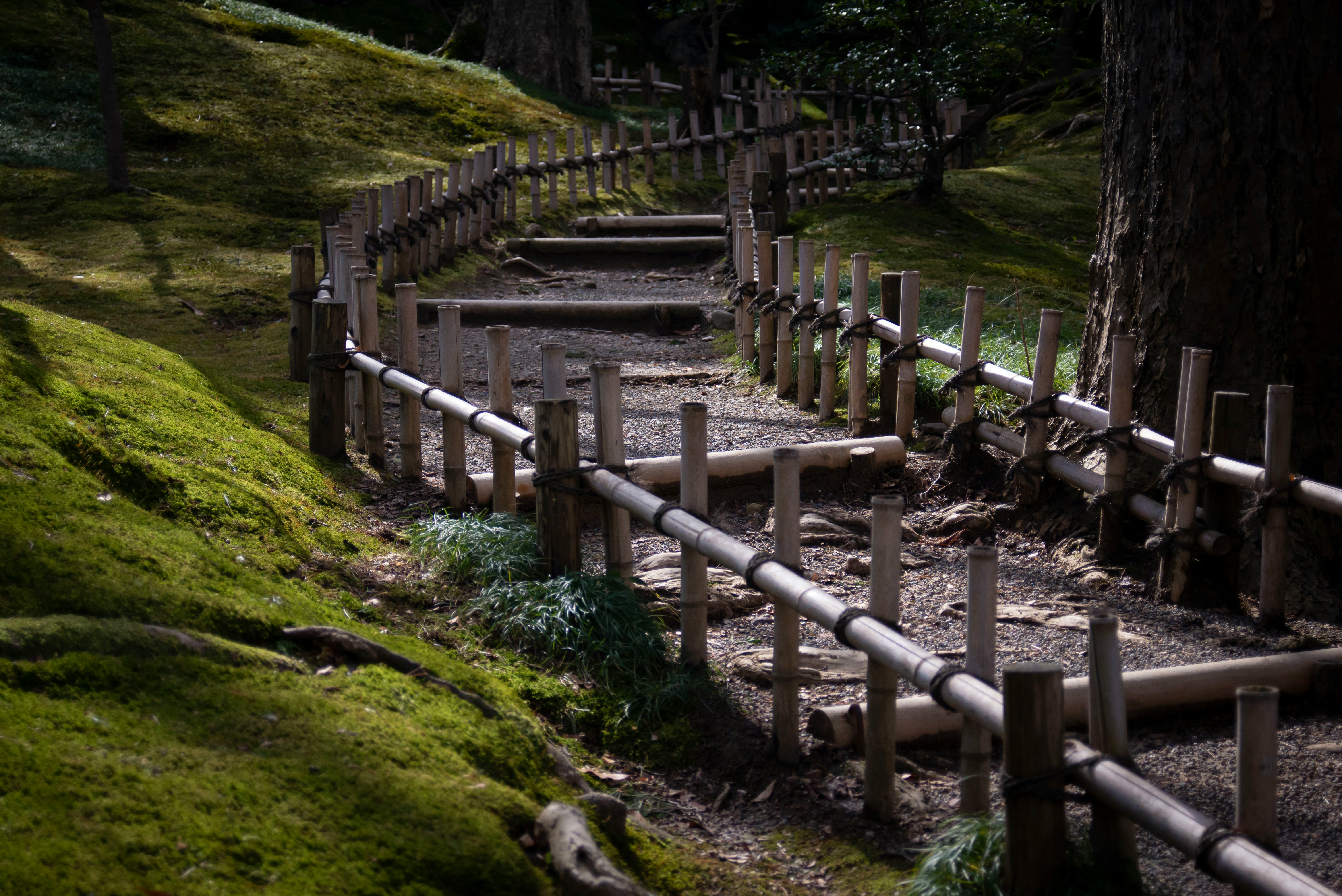 兼六園の石畳と竹垣のある庭園の小道