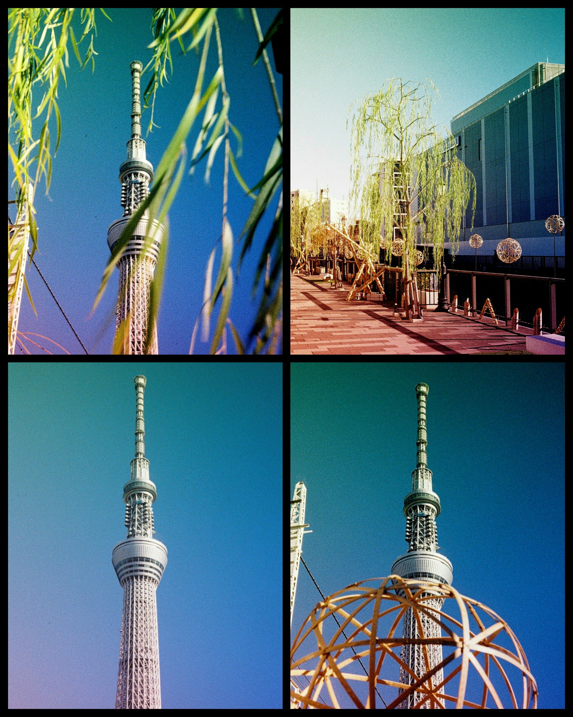 東京スカイツリーと青空の下の展望デッキ周辺