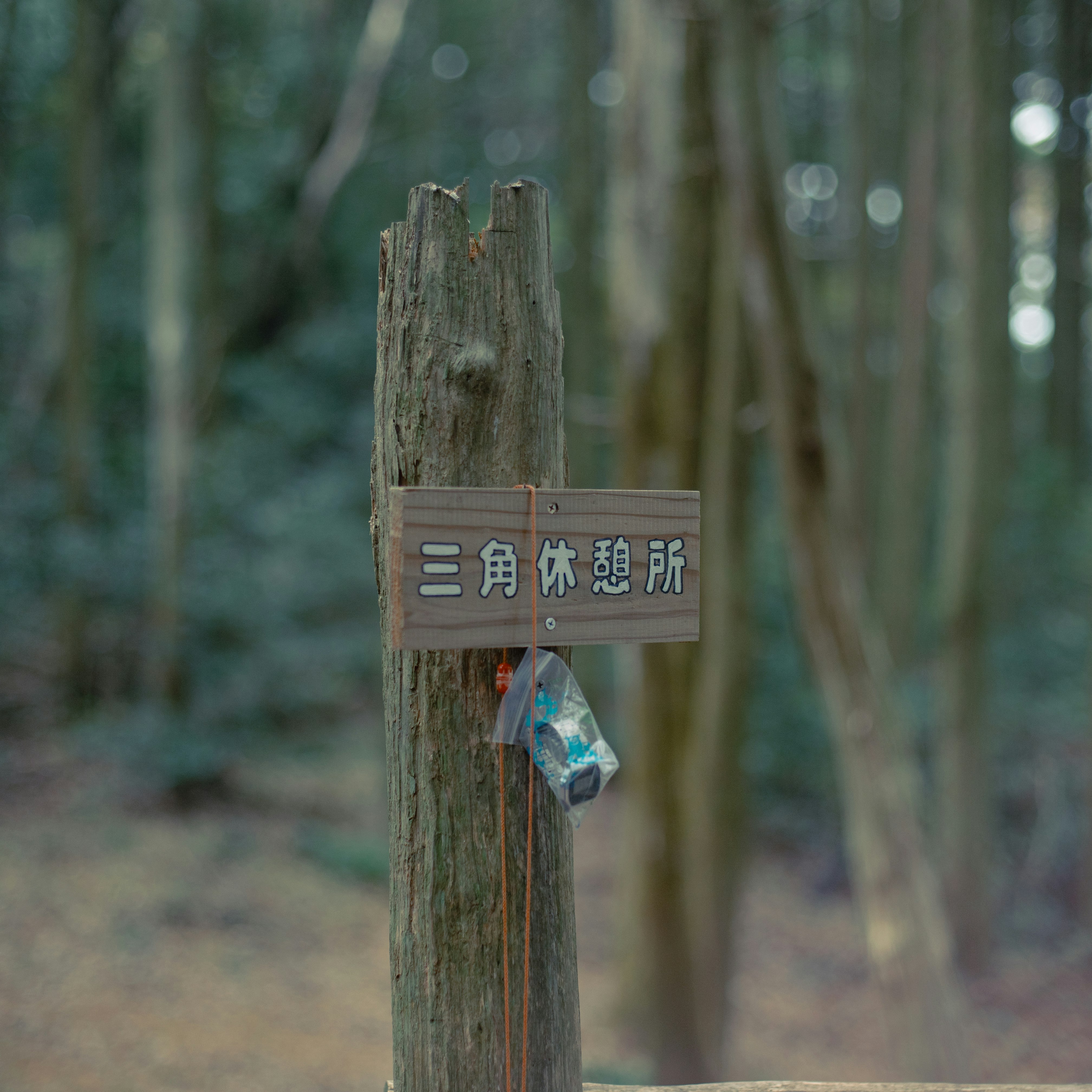竹林の道に立つ「三角休憩所」看板