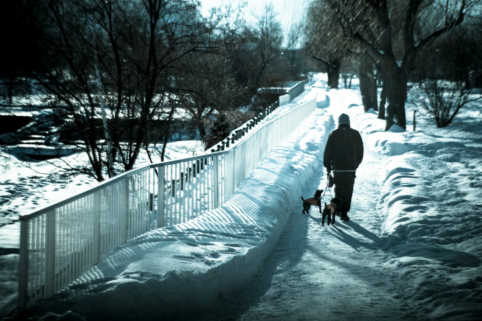Silueta de una persona paseando un perro por un camino cubierto de nieve