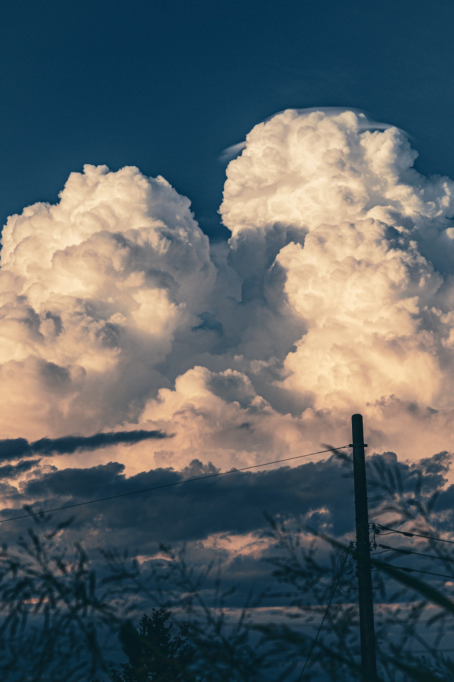 Awan putih besar di langit biru dengan siluet pohon di bawahnya