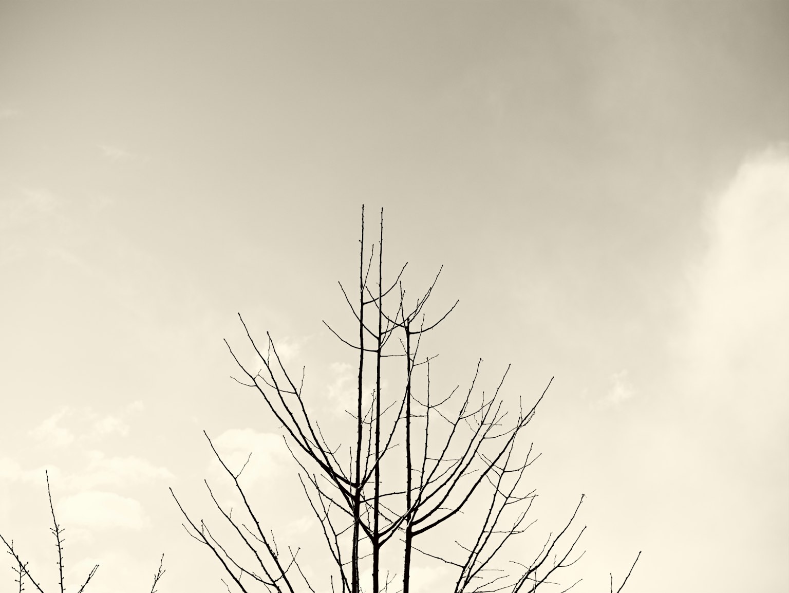 photo-NITK2rXIPO36zlb2DbSg-image