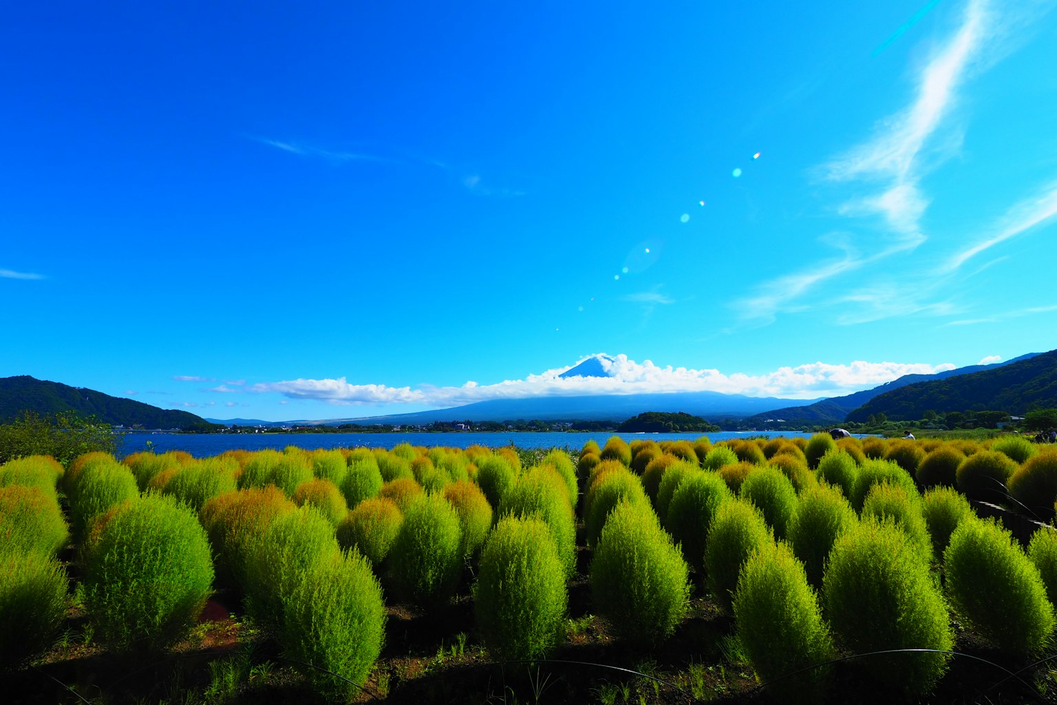 Paesaggio con piante verdi e il monte Fuji sullo sfondo sotto un cielo blu