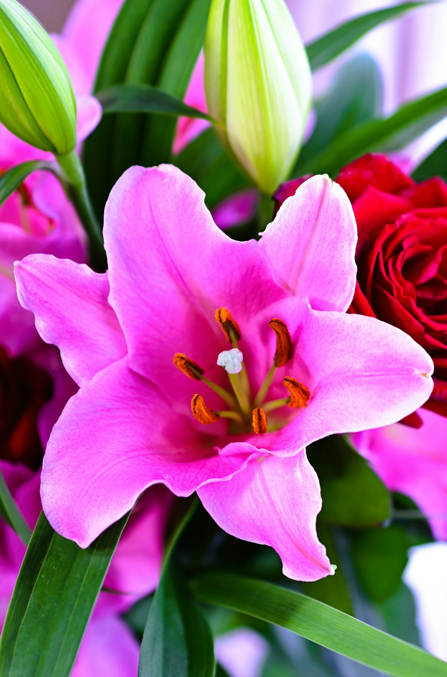 特写的花束，包含粉色百合和红色玫瑰