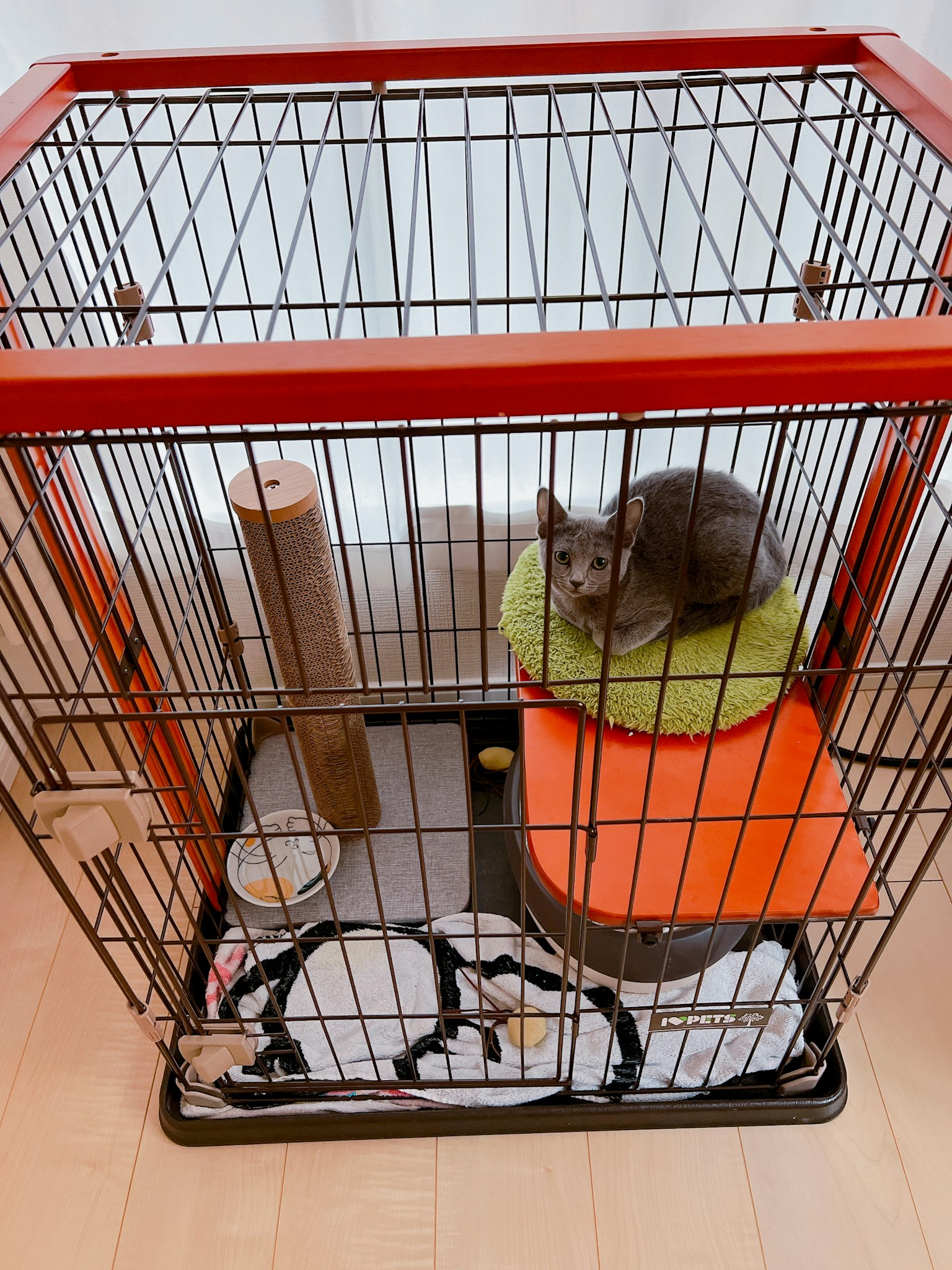 Un gatto che riposa all'interno di una gabbia per animali colorata con vari accessori