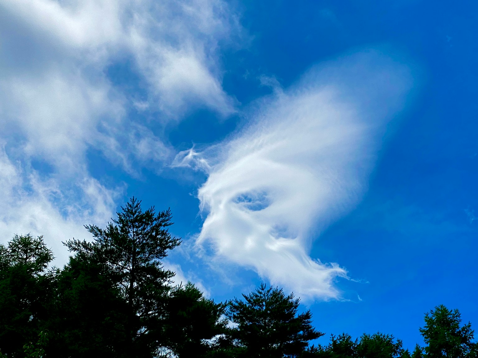 Unique cloud formation in a blue sky with trees below