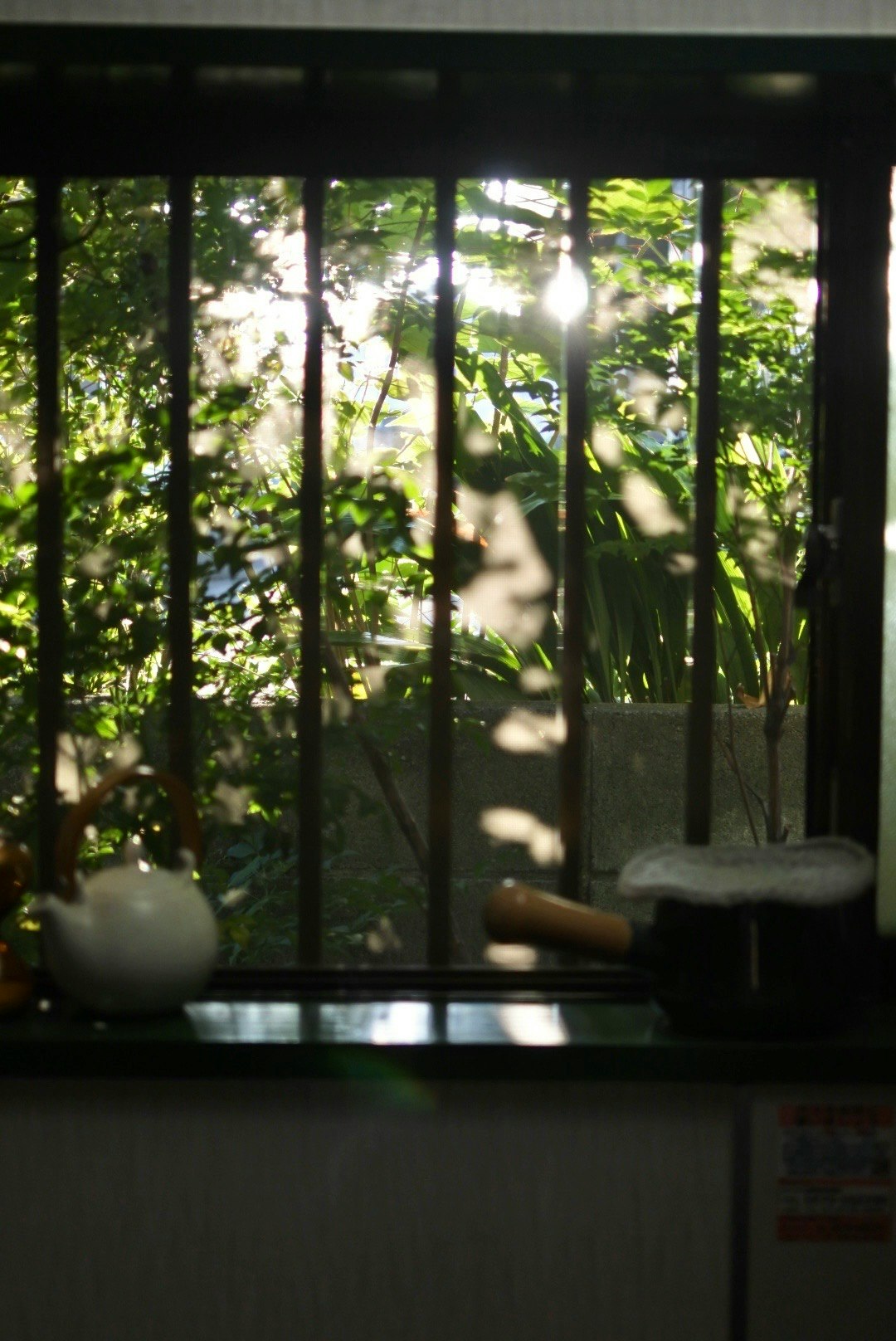 vista a través de una ventana de un jardín verde exuberante y objetos interiores