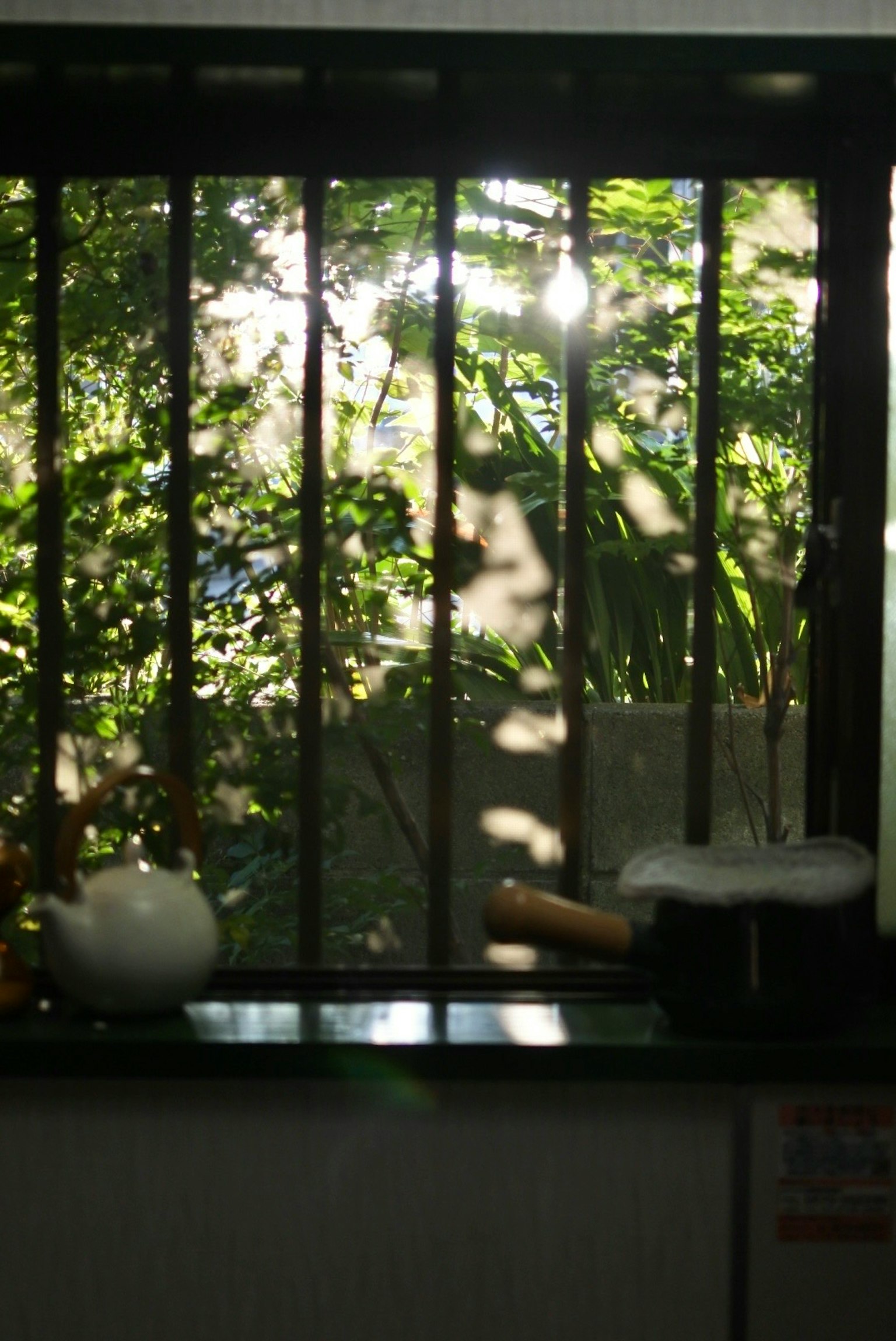 窓越しに見える緑豊かな庭と影のある風景