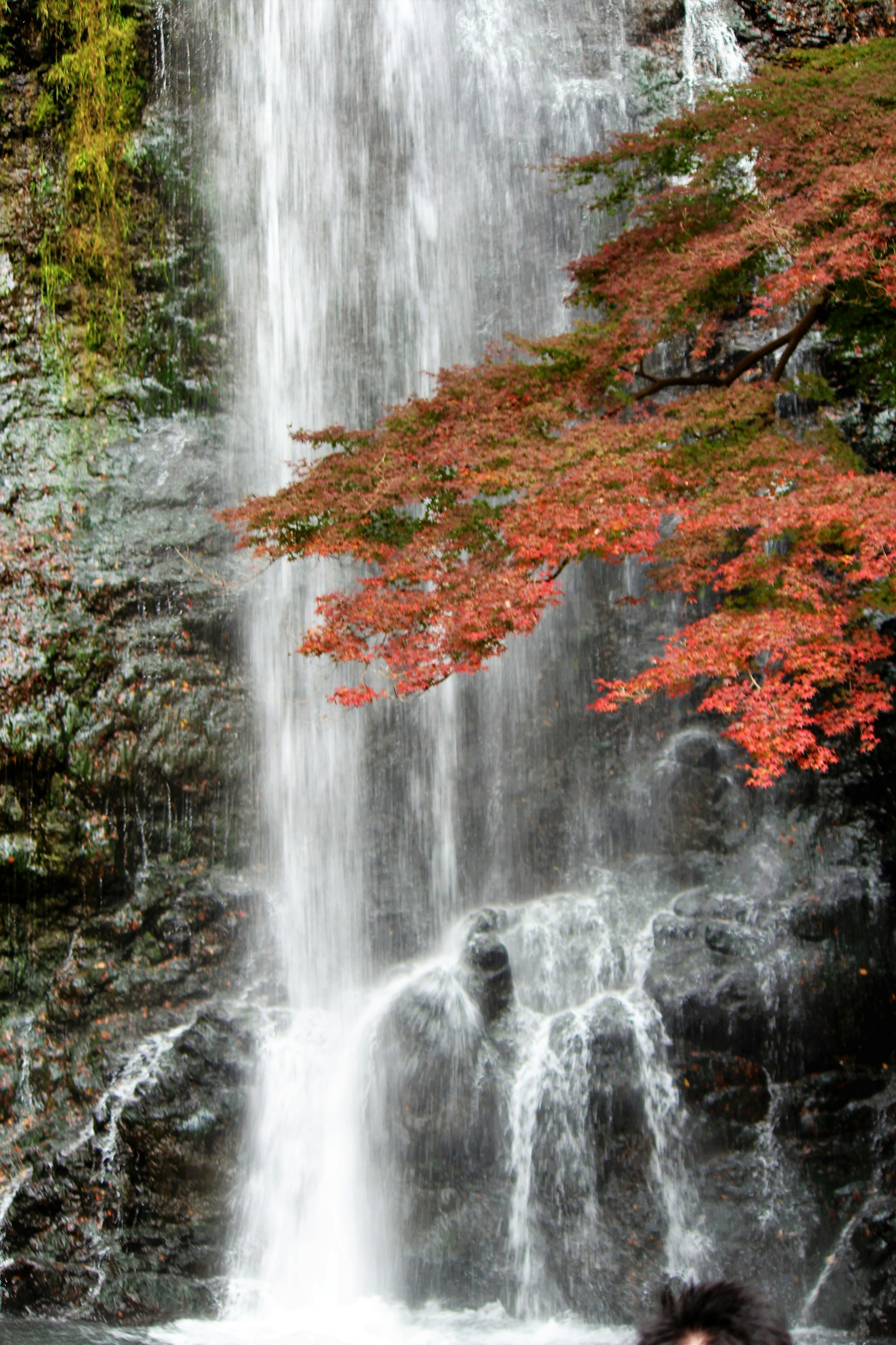 Beautiful scenery of a waterfall with autumn leaves