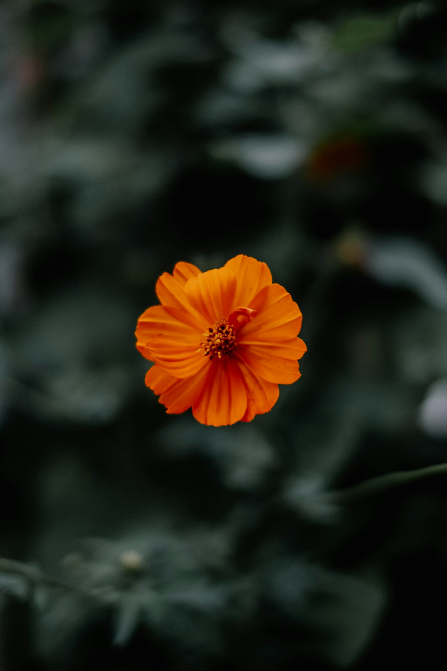 photo-NJk26wJHUm3Zi8MpMp8w-image